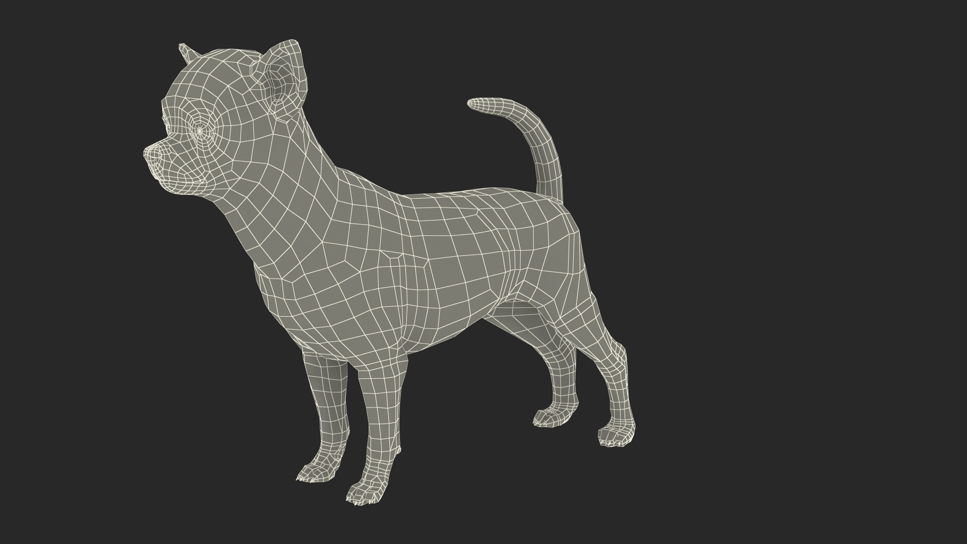 3D Chihuahua Dog Rigged Fur https://p.turbosquid.com/ts-thumb/lr/ShJMHX/ng/chihuahua_dog_rigged_fur_361/jpg/1715627229/1920x1080/turn_fit_q99/f77961007af57c6f6ef8521ed0fee7b80f06fb84/chihuahua_dog_rigged_fur_361-1.jpg