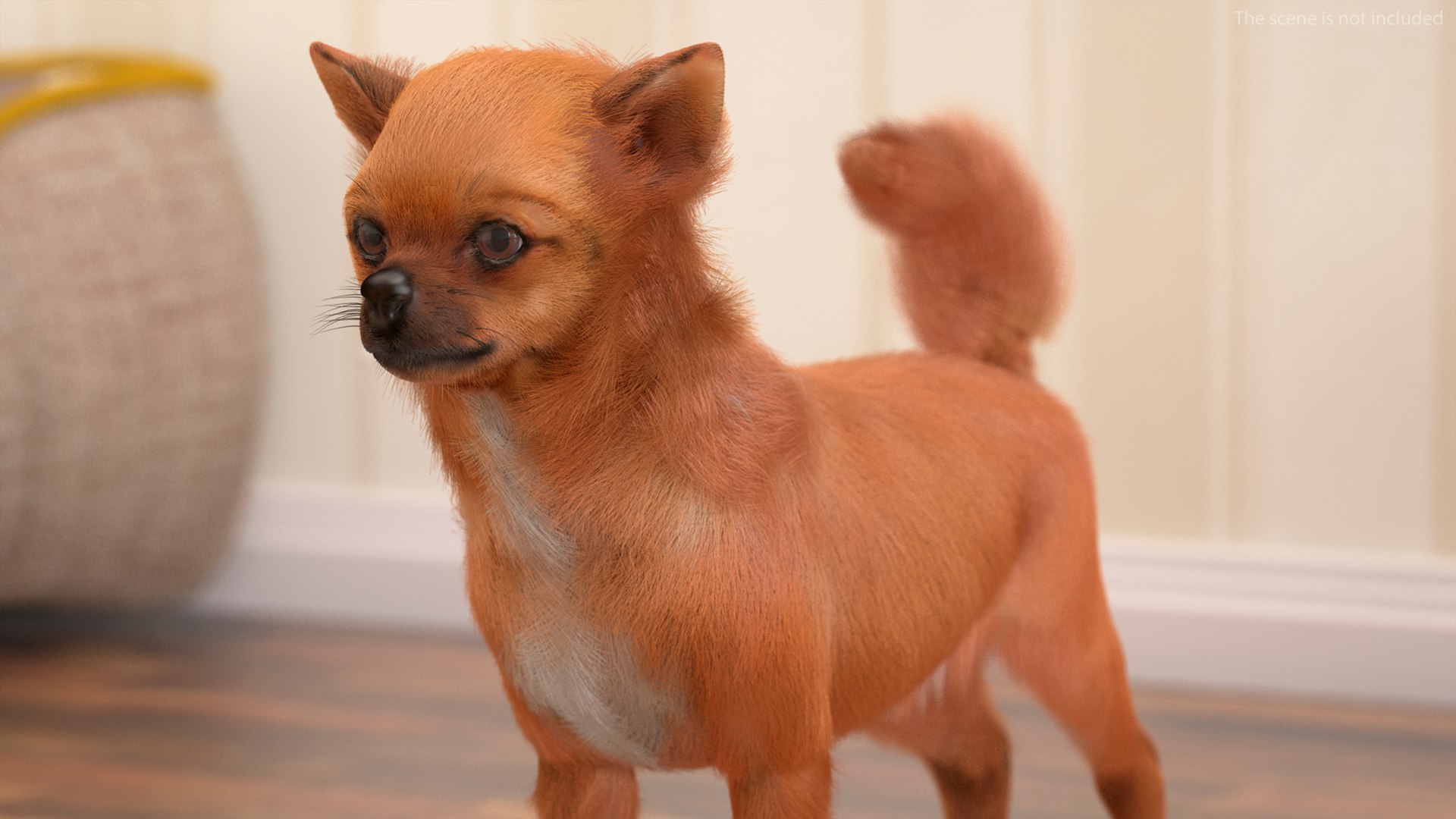3D Chihuahua Dog Rigged Fur https://p.turbosquid.com/ts-thumb/lr/ShJMHX/rK/chihuahuadogriggedfur3dsmodel008/jpg/1715627927/1920x1080/fit_q87/9279bf4be0a1e32334e494ca8bd933e847f42360/chihuahuadogriggedfur3dsmodel008.jpg