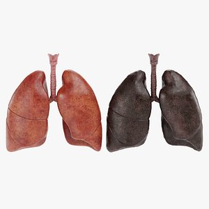 Respiratory Set