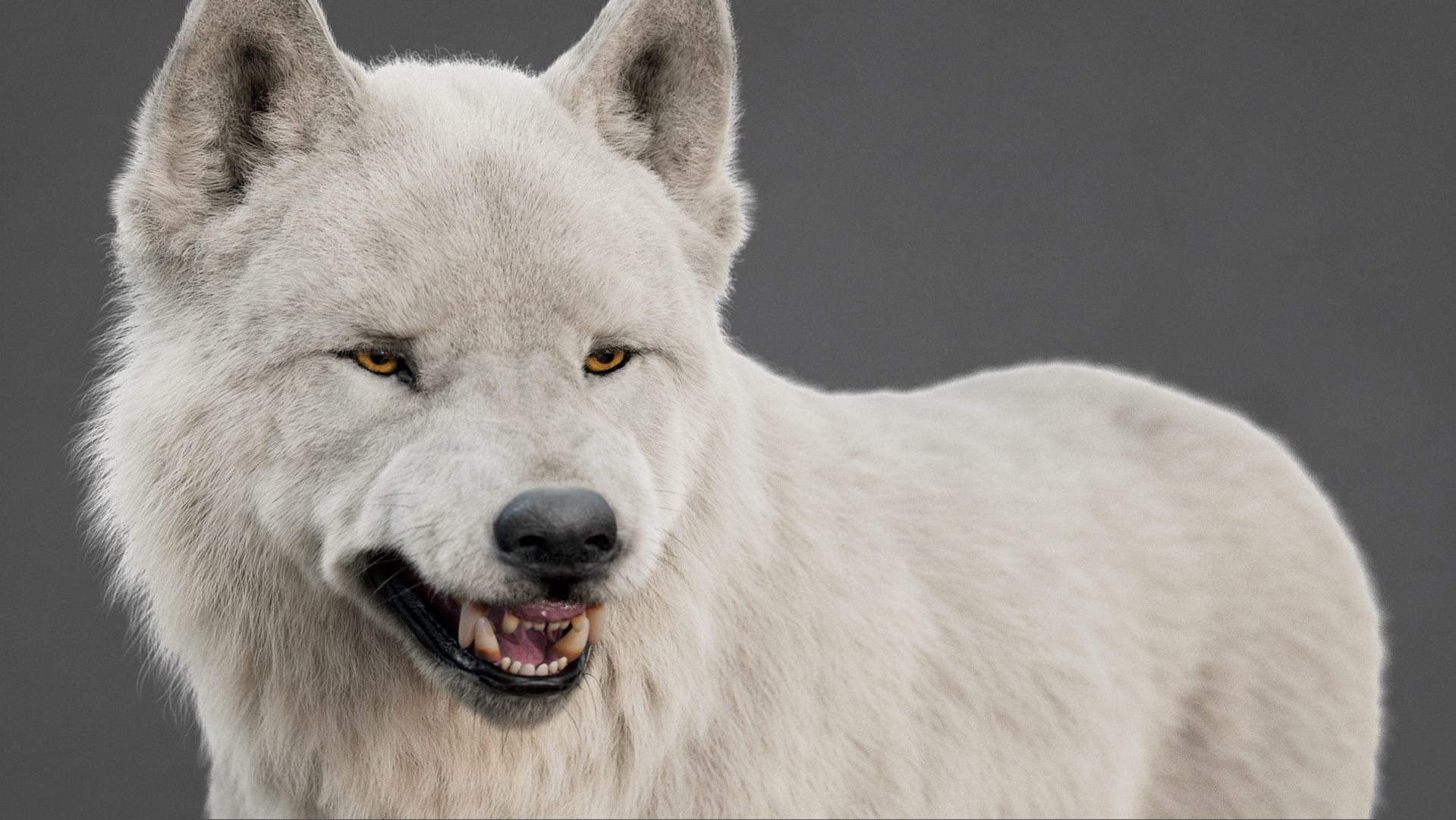 Arctic Wolf Rig XGEN-CORE 3D https://p.turbosquid.com/ts-thumb/lr/i1HRon/5A/08/jpg/1754711480/1920x1080/fit_q87/87708b91a0635f04c0235aa1d5d1e45c69178182/08.jpg