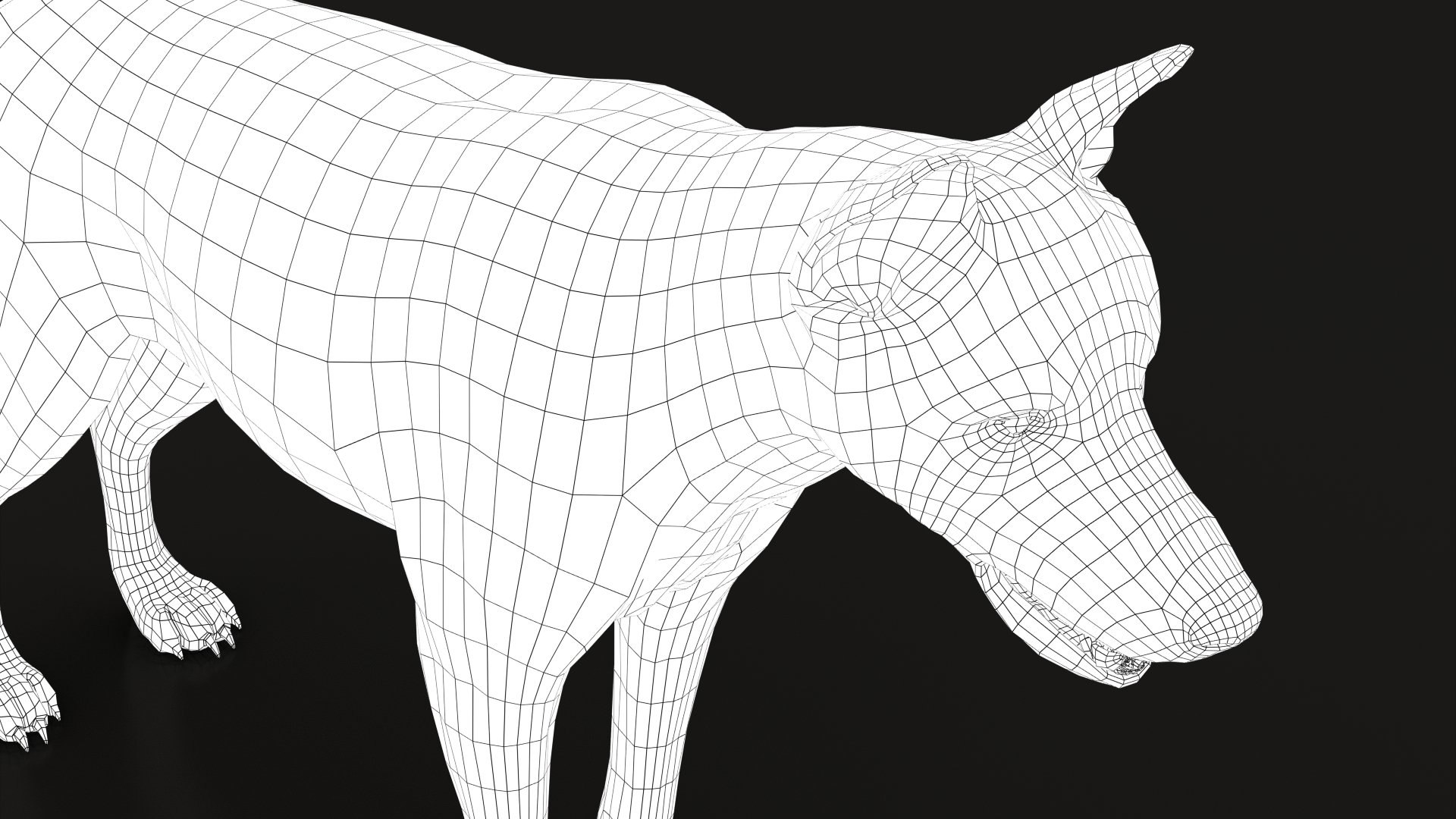 Arctic Wolf Rig XGEN-CORE 3D https://p.turbosquid.com/ts-thumb/lr/i1HRon/KV/wire004/jpg/1587888972/1920x1080/fit_q87/ff04a66fa8a43d0846850dee404d6c2028f1545a/wire004.jpg