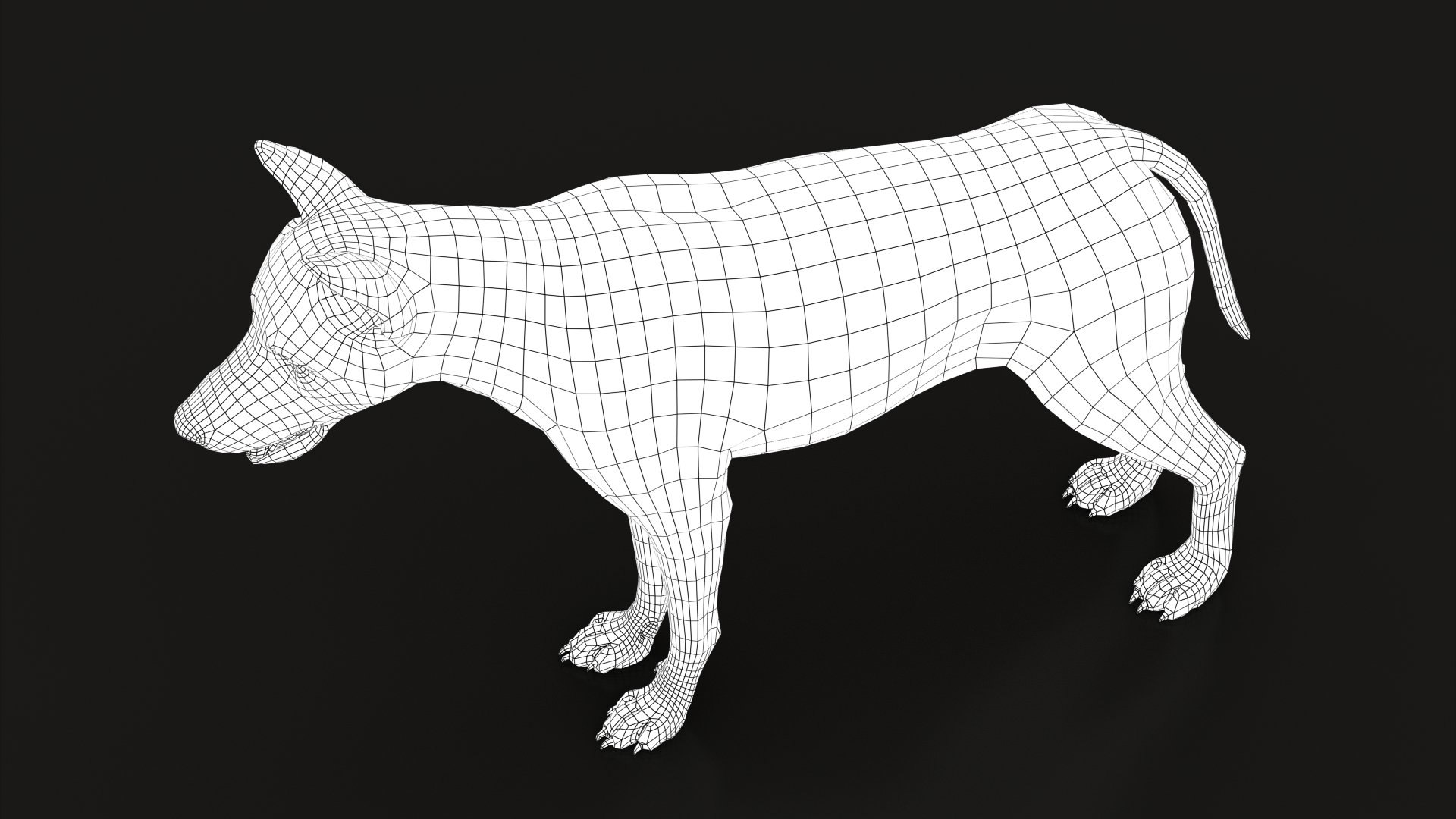 Arctic Wolf Rig XGEN-CORE 3D https://p.turbosquid.com/ts-thumb/lr/i1HRon/Km/wire006/jpg/1587888972/1920x1080/fit_q87/e11bc37e273da150cab3a97da2e61b1eb43230d1/wire006.jpg