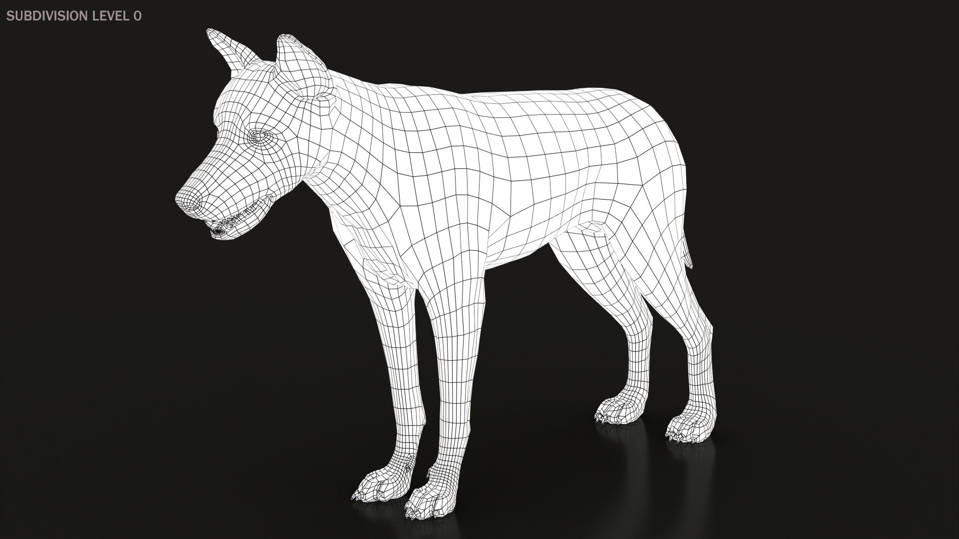 Arctic Wolf Rig XGEN-CORE 3D https://p.turbosquid.com/ts-thumb/lr/i1HRon/Pp/wire001/jpg/1587888972/1920x1080/fit_q87/3f21b99687ecd5a404f63873d0a6aa48035ba879/wire001.jpg