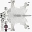 Plateforme Arctic Wolf XGEN-CORE