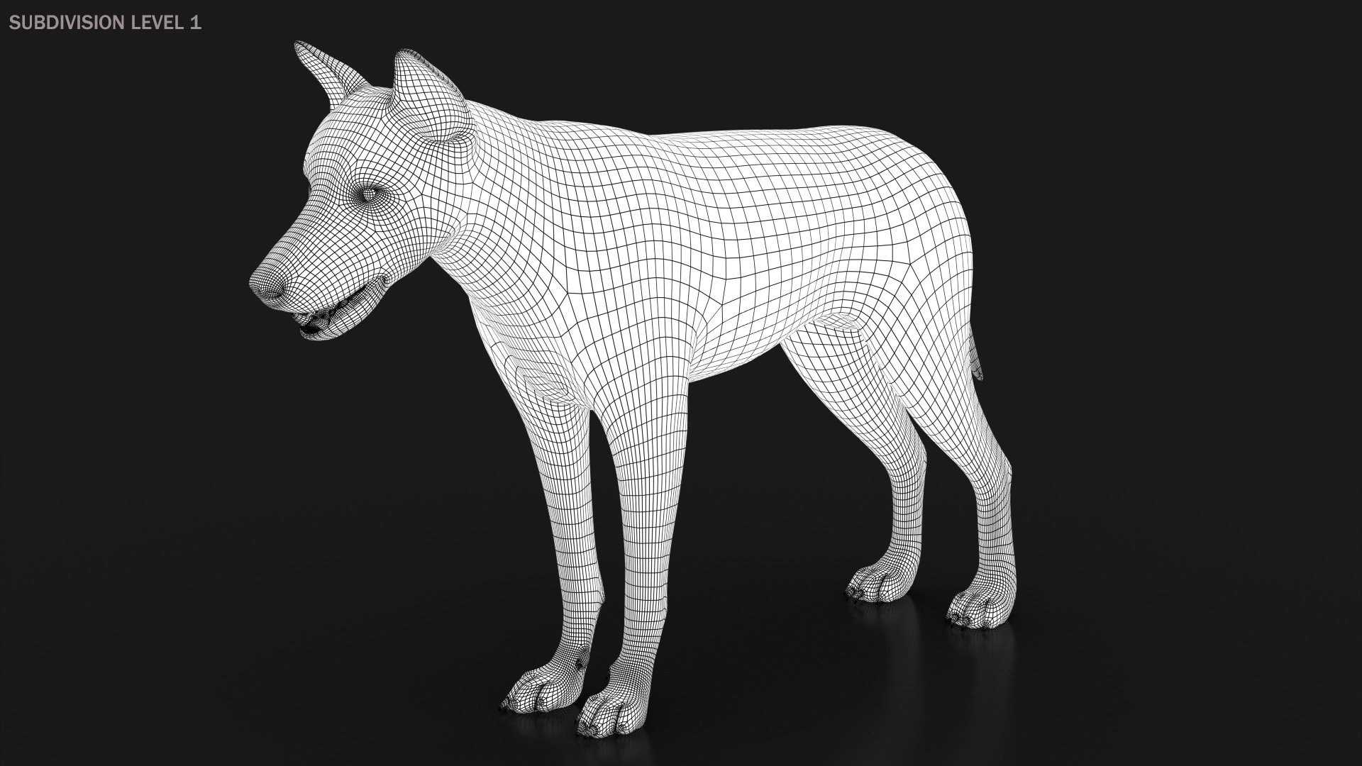 Arctic Wolf Rig XGEN-CORE 3D https://p.turbosquid.com/ts-thumb/lr/i1HRon/oP/wire001b/jpg/1587888972/1920x1080/fit_q87/e586648c16401bbde8759fd1666449551269a39f/wire001b.jpg