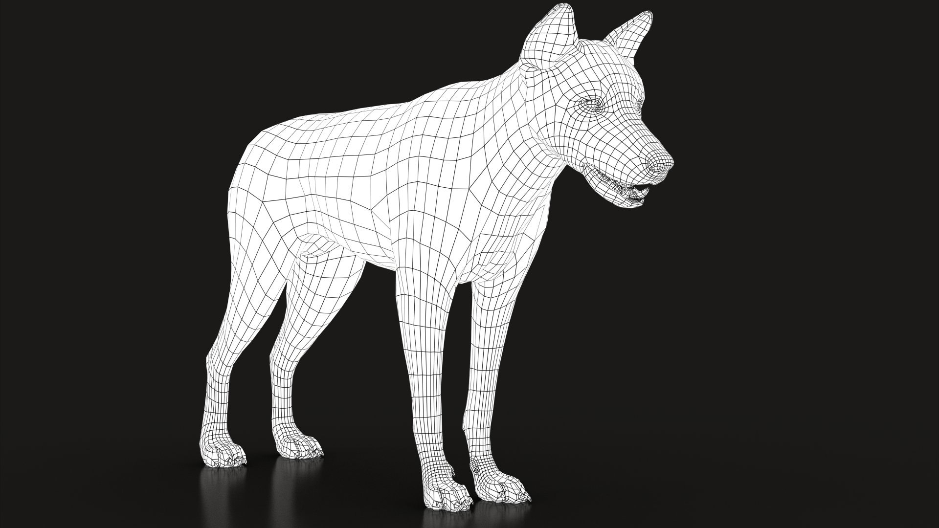 Arctic Wolf Rig XGEN-CORE 3D https://p.turbosquid.com/ts-thumb/lr/i1HRon/qF/wire003/jpg/1587888972/1920x1080/fit_q87/1b766d2cc363e636a96fcd5f143204220a7858ff/wire003.jpg