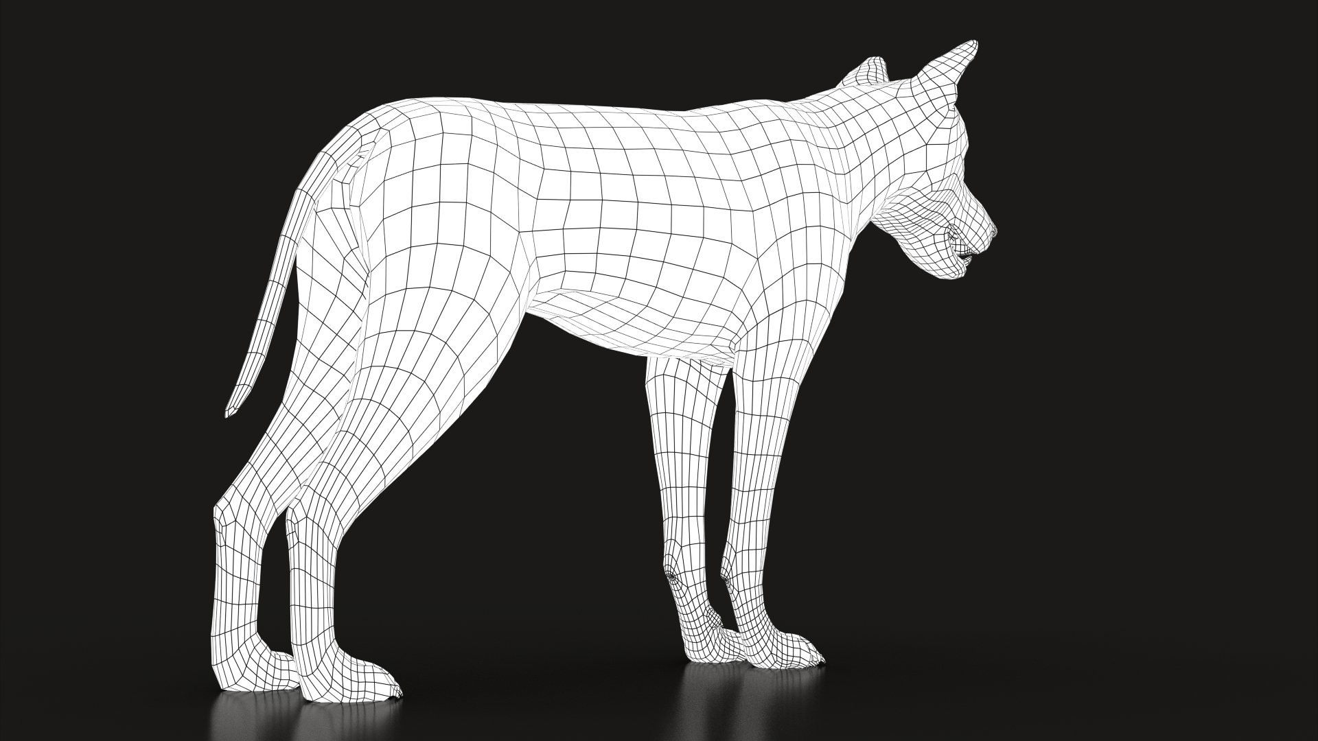 Arctic Wolf Rig XGEN-CORE 3D https://p.turbosquid.com/ts-thumb/lr/i1HRon/rQ/wire005/jpg/1587888972/1920x1080/fit_q87/7a94219c458806e8f9d48460fd2c43b1be3fbbf0/wire005.jpg