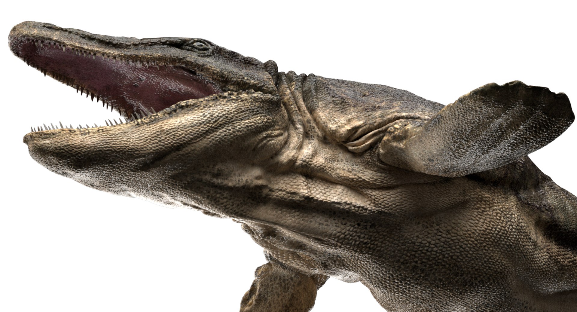 3D v-ray rigged model https://p.turbosquid.com/ts-thumb/lr/l524fQ/0S7tyOKa/13/jpg/1561343910/1920x1080/fit_q87/cf01f198b9ee862d7871b9f34d8bb669a7ef64fa/13.jpg