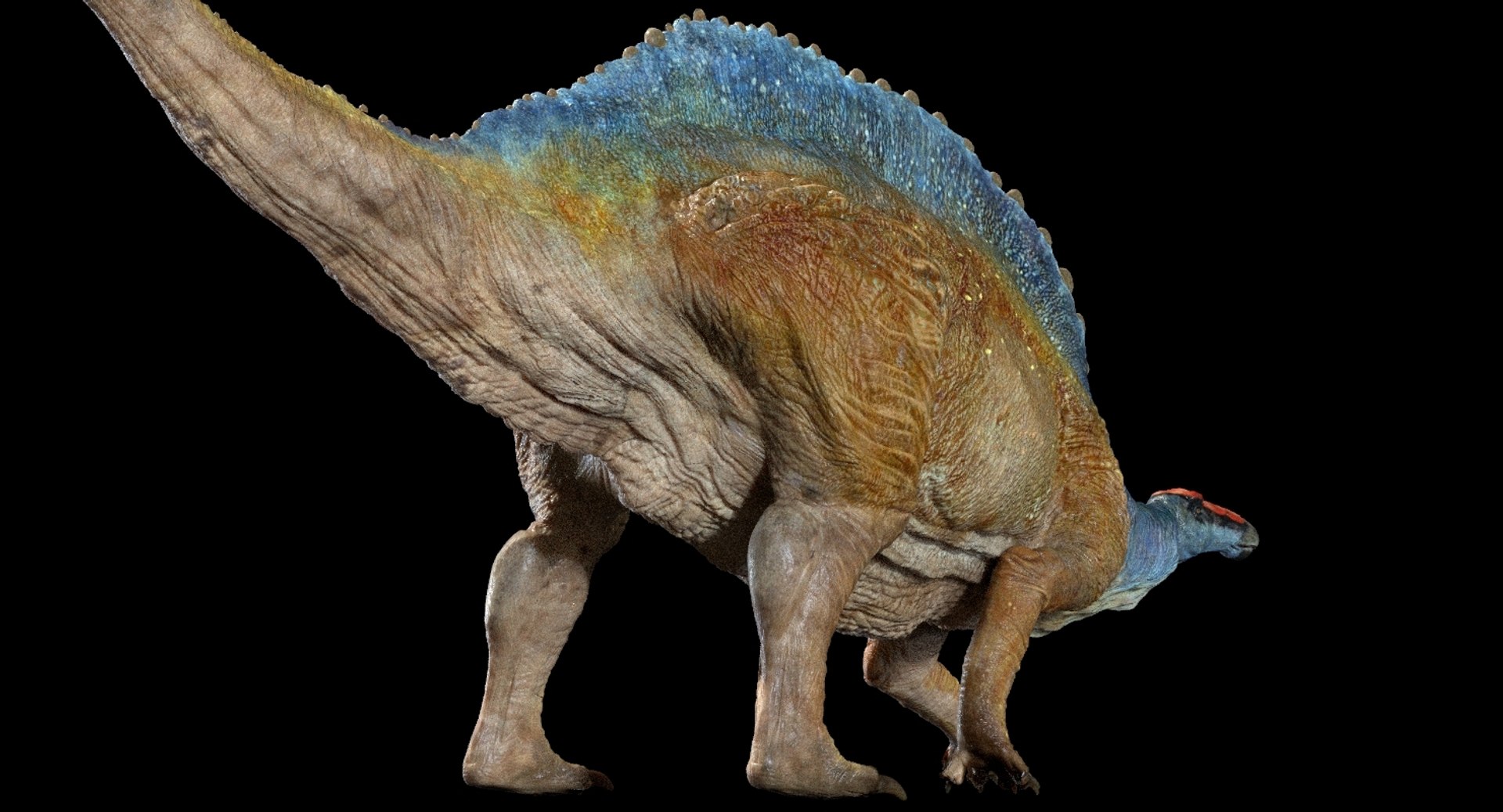 3D v-ray rigged model https://p.turbosquid.com/ts-thumb/lr/l524fQ/0odXvkyN/05/jpg/1561343534/1920x1080/fit_q87/3f20ac5ff9fec16ac6da9392b8e71c98e0692d26/05.jpg