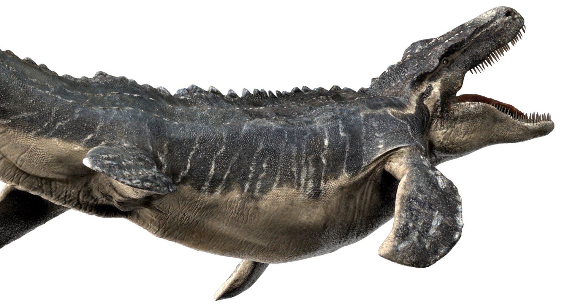 3D v-ray rigged model https://p.turbosquid.com/ts-thumb/lr/l524fQ/2AIbZHHr/05/jpg/1561343508/1920x1080/fit_q87/d05f9a8545049f05945912208ac0a004e00604f6/05.jpg