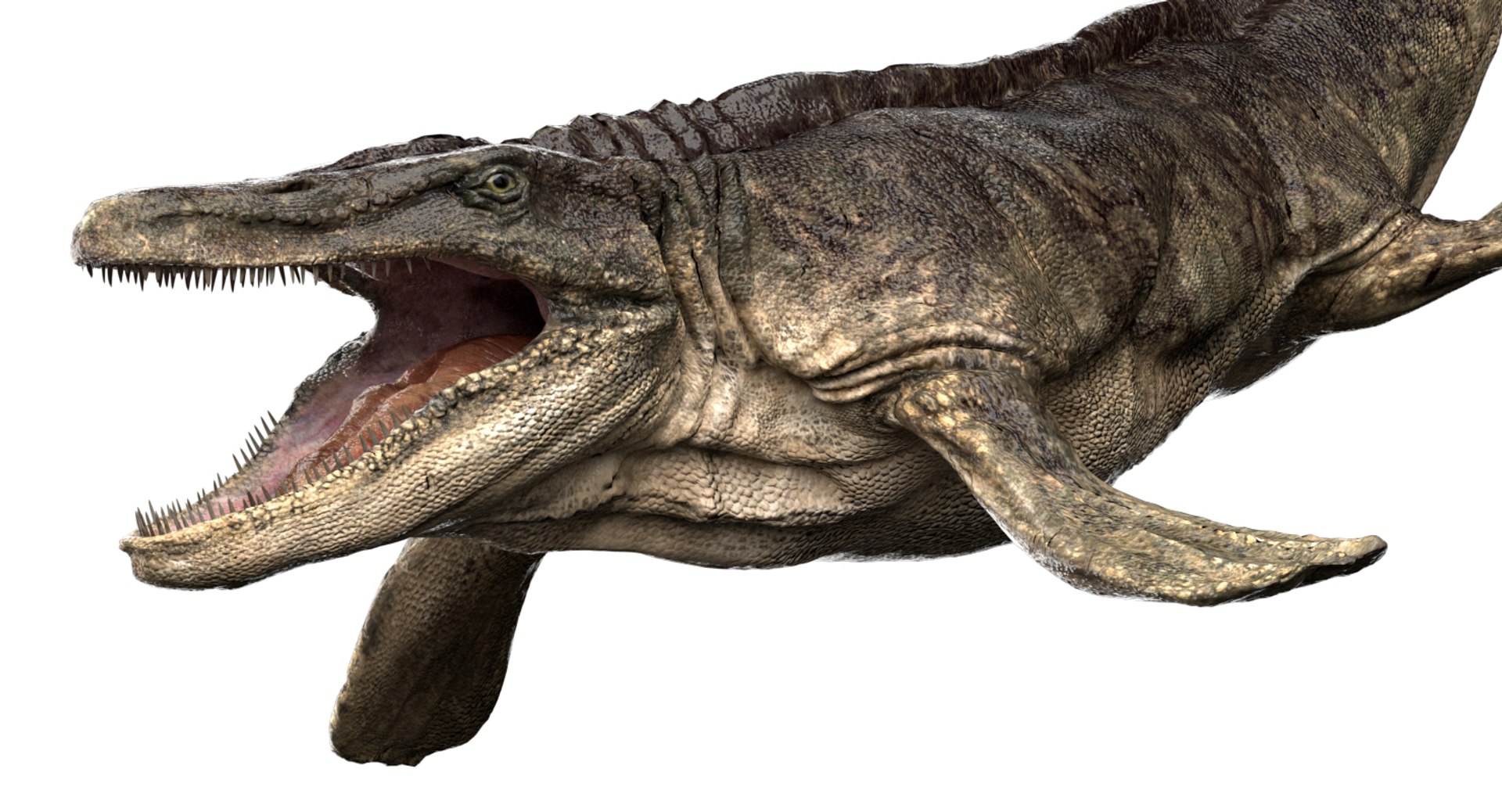 3D v-ray rigged model https://p.turbosquid.com/ts-thumb/lr/l524fQ/2BjS3Qzp/07/jpg/1561343910/1920x1080/fit_q87/390d12a6c48949bc1ded048a8cf5bca981d803a4/07.jpg