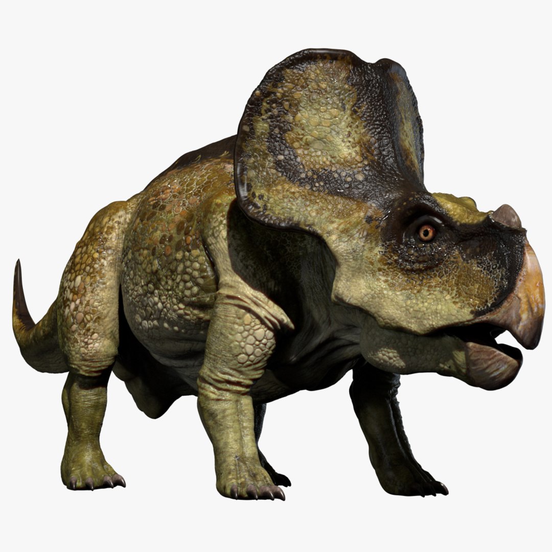3D v-ray rigged model https://p.turbosquid.com/ts-thumb/lr/l524fQ/4hZfEUSh/00/jpg/1561343638/1920x1080/fit_q87/d575309682c013430bb818d60c29ad65f92d9eb8/00.jpg