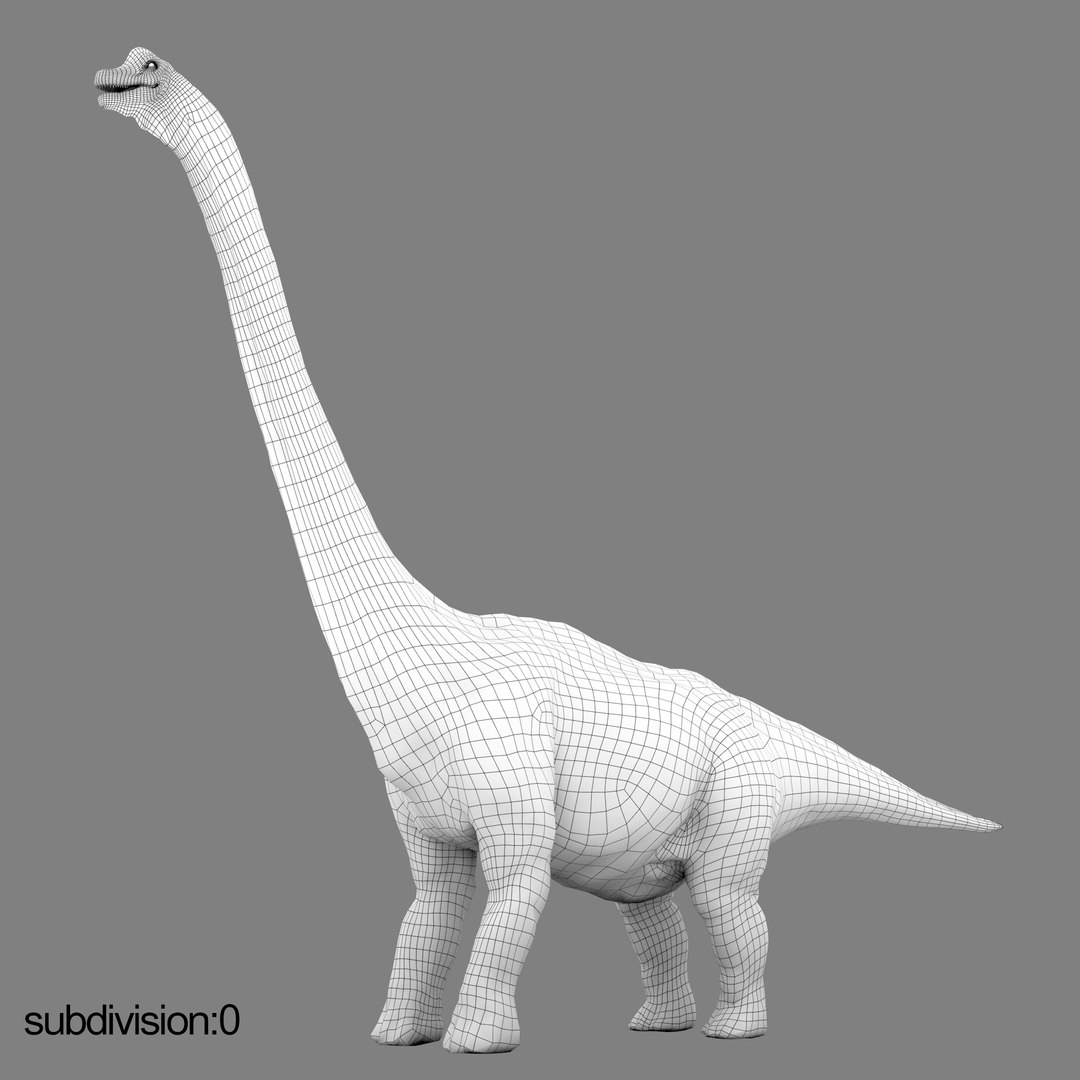 3D v-ray rigged model https://p.turbosquid.com/ts-thumb/lr/l524fQ/5vRZG6y9/06/jpg/1561343282/1920x1080/fit_q87/f1cd2e1e221b4ed196f2690b71d4034ed99d3338/06.jpg
