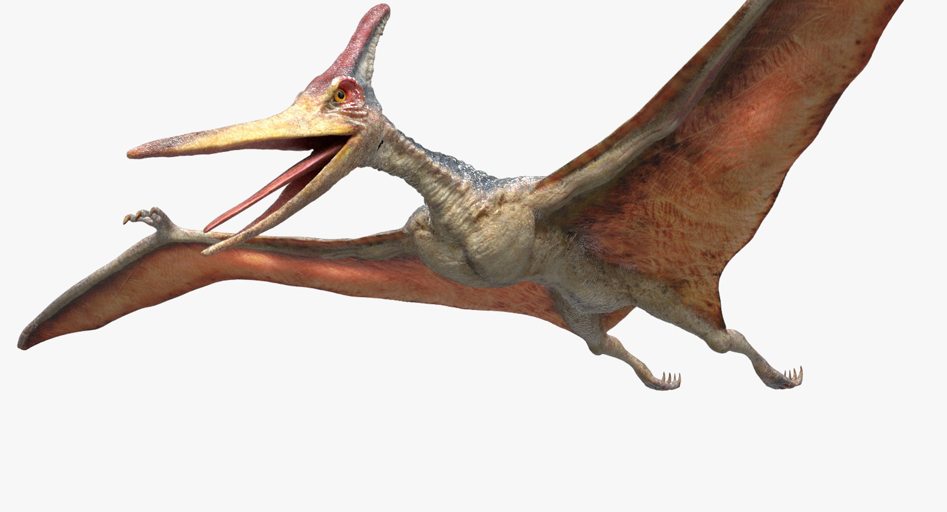3D v-ray rigged model https://p.turbosquid.com/ts-thumb/lr/l524fQ/5z8QKyHz/12/jpg/1561343663/1920x1080/fit_q87/7cc20a27838497ead0032f5aa8e03cc3c0569832/12.jpg