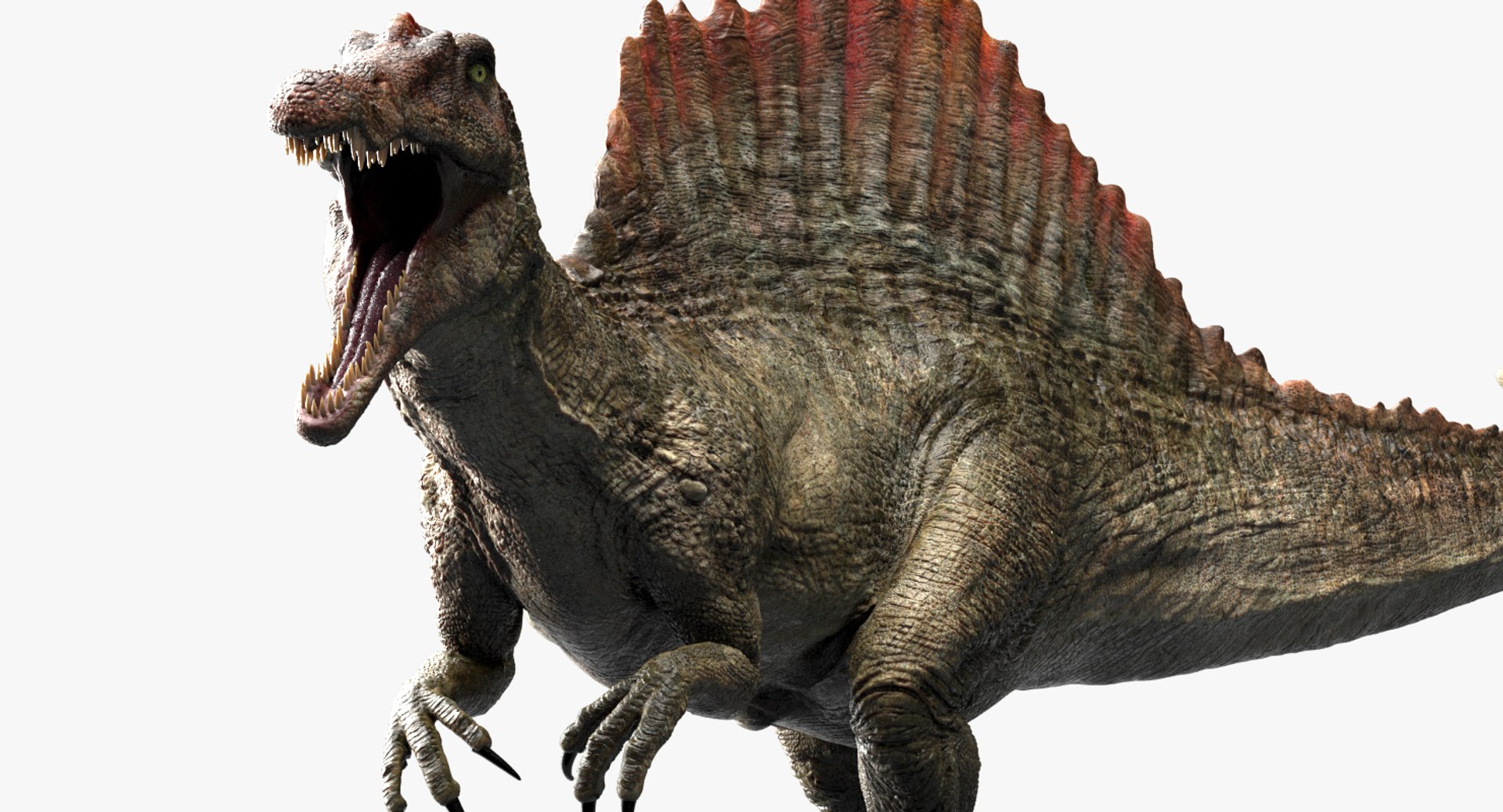 3D v-ray rigged model https://p.turbosquid.com/ts-thumb/lr/l524fQ/9ZGJ3FGF/04/jpg/1561343714/1920x1080/fit_q87/2270f4b8aa49746eec4fa151e4e7bab65b782ba6/04.jpg