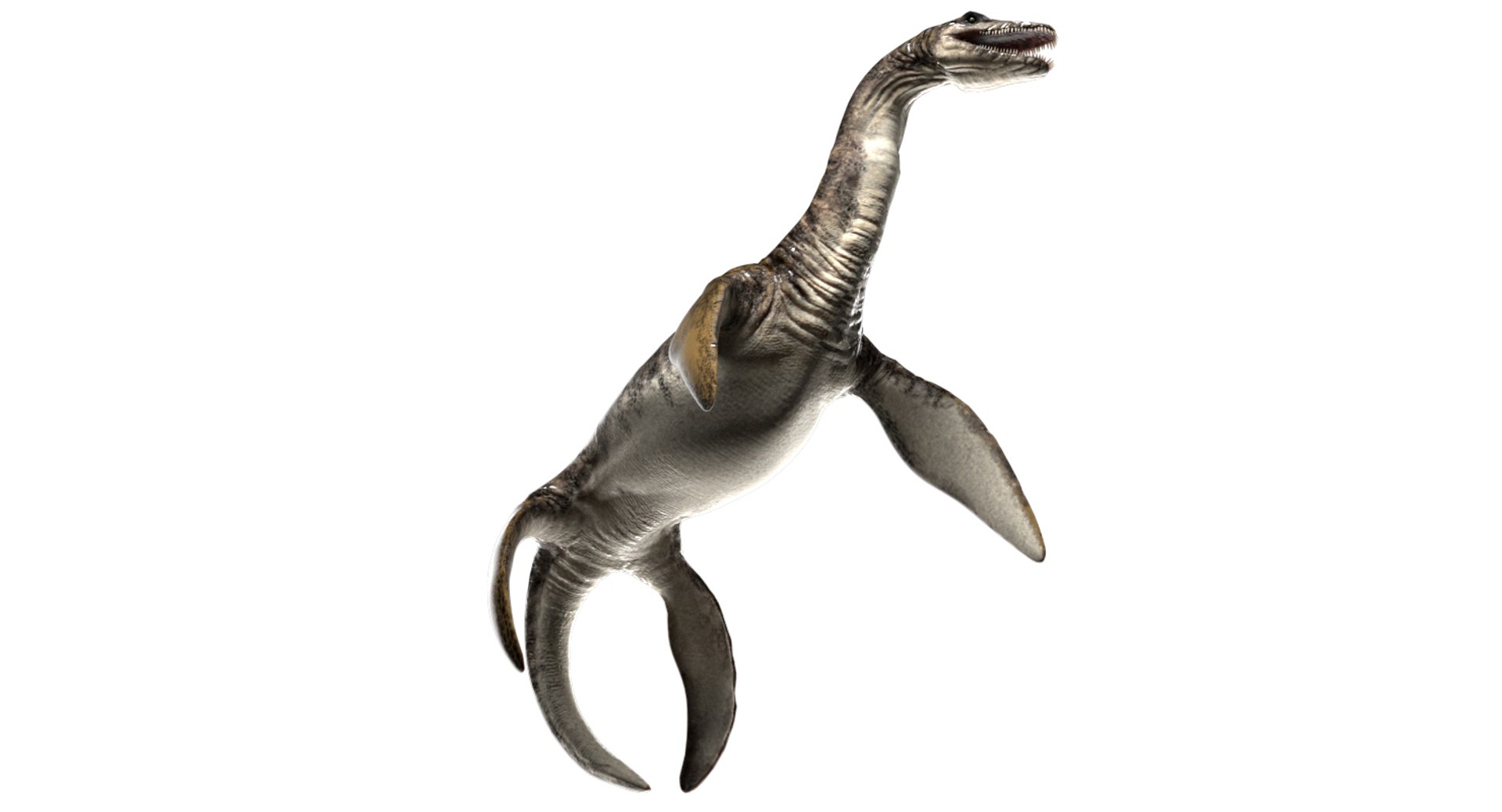3D v-ray rigged model https://p.turbosquid.com/ts-thumb/lr/l524fQ/AT4d3zWC/15/jpg/1561343611/1920x1080/fit_q87/63cde6d8905626136f08e9b6a8708e34072b760d/15.jpg