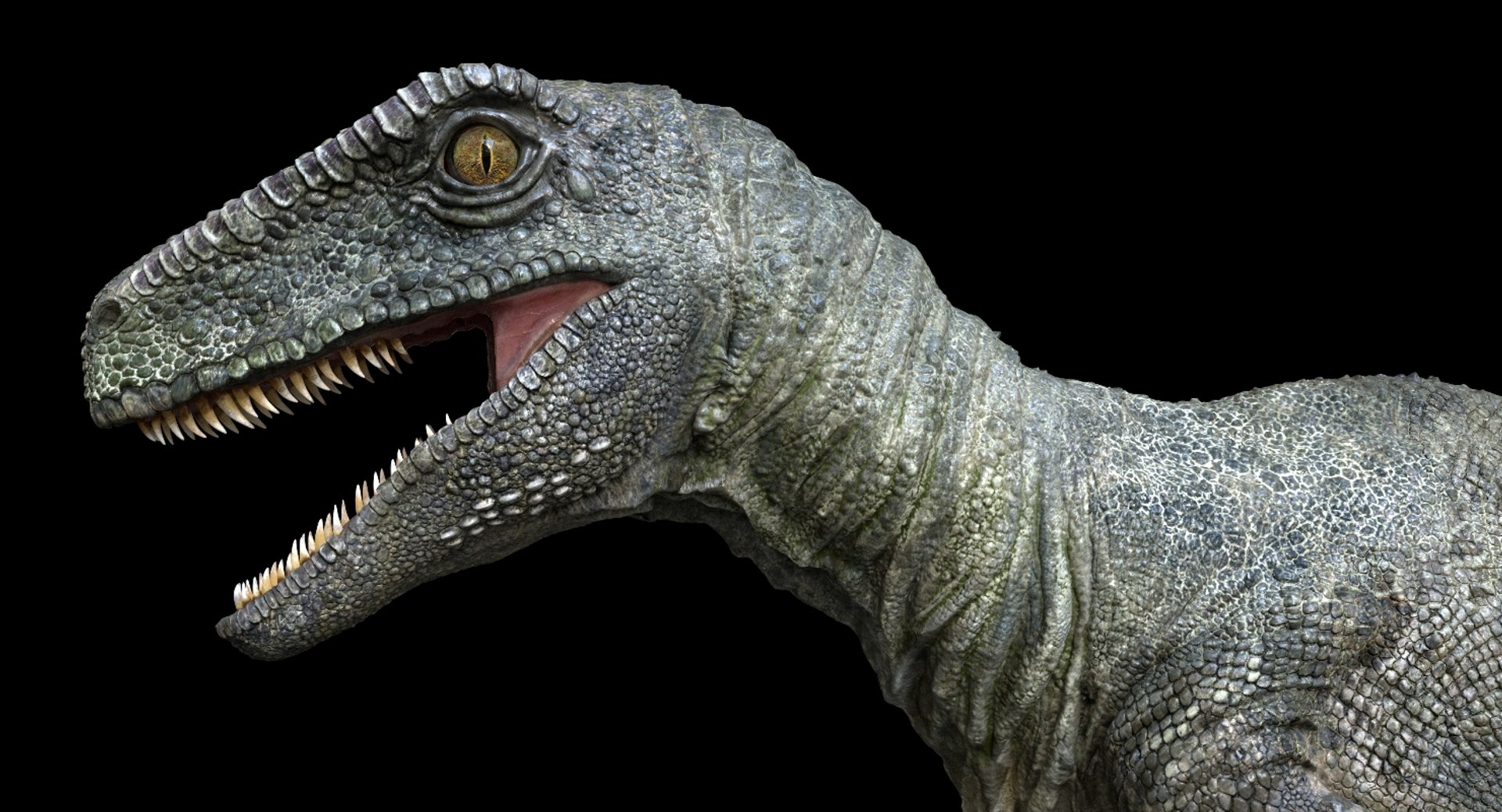 3D v-ray rigged model https://p.turbosquid.com/ts-thumb/lr/l524fQ/B4fKLZUN/05/jpg/1561343688/1920x1080/fit_q87/96748300994761741b4c2ce565830d2077e5a37f/05.jpg