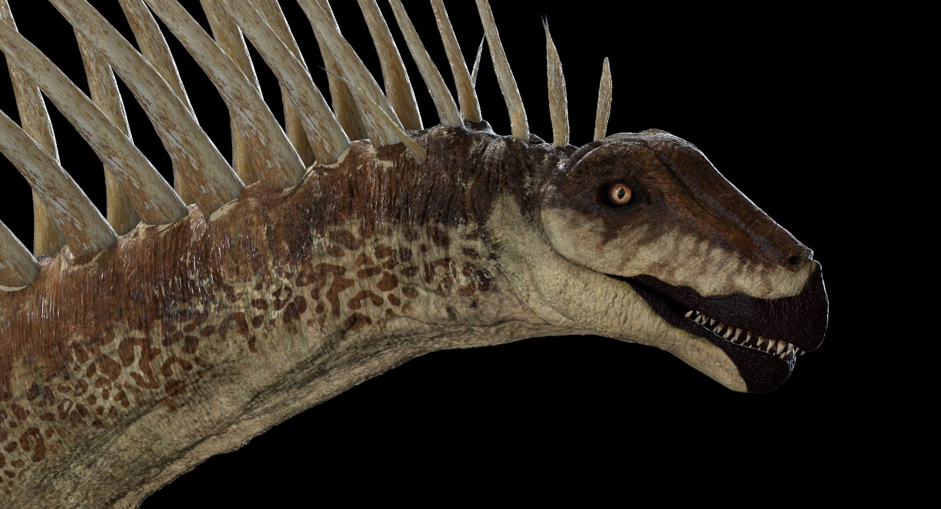 3D v-ray rigged model https://p.turbosquid.com/ts-thumb/lr/l524fQ/Csk7Ubx1/02/jpg/1561181761/1920x1080/fit_q87/55ff823e3cb1450db873be299c3e6cc35bb320c4/02.jpg