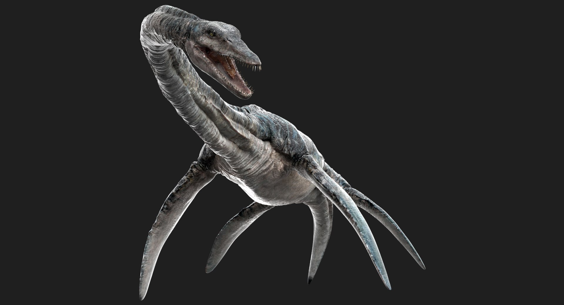 3D v-ray rigged model https://p.turbosquid.com/ts-thumb/lr/l524fQ/DiVuTaOE/02/jpg/1561343435/1920x1080/fit_q87/d0b90c4ed41f60dd138062ff0f438a0ec6bc35d0/02.jpg