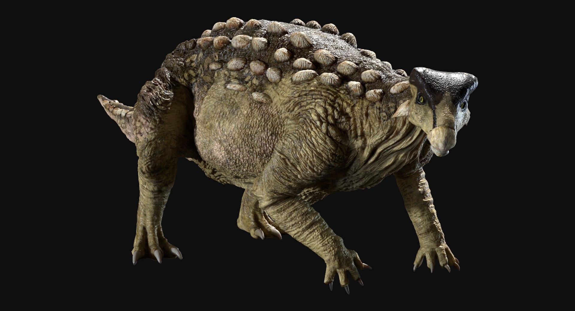 3D v-ray rigged model https://p.turbosquid.com/ts-thumb/lr/l524fQ/F2eZtNU2/01/jpg/1561343459/1920x1080/fit_q87/cdcd500ea576da1f9dce86186c1c9c8ba9c5392f/01.jpg