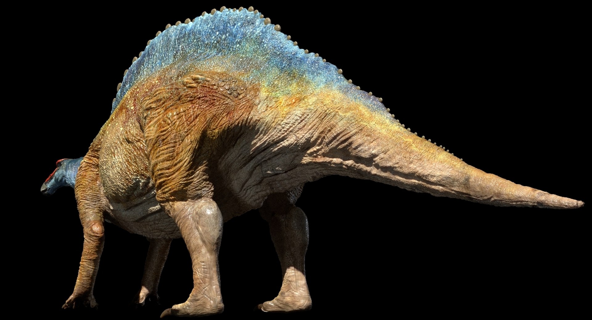3D v-ray rigged model https://p.turbosquid.com/ts-thumb/lr/l524fQ/GsAU6ZRv/06/jpg/1561343534/1920x1080/fit_q87/ea707a222f6919cfaa67096ec0d33aca8861b71a/06.jpg