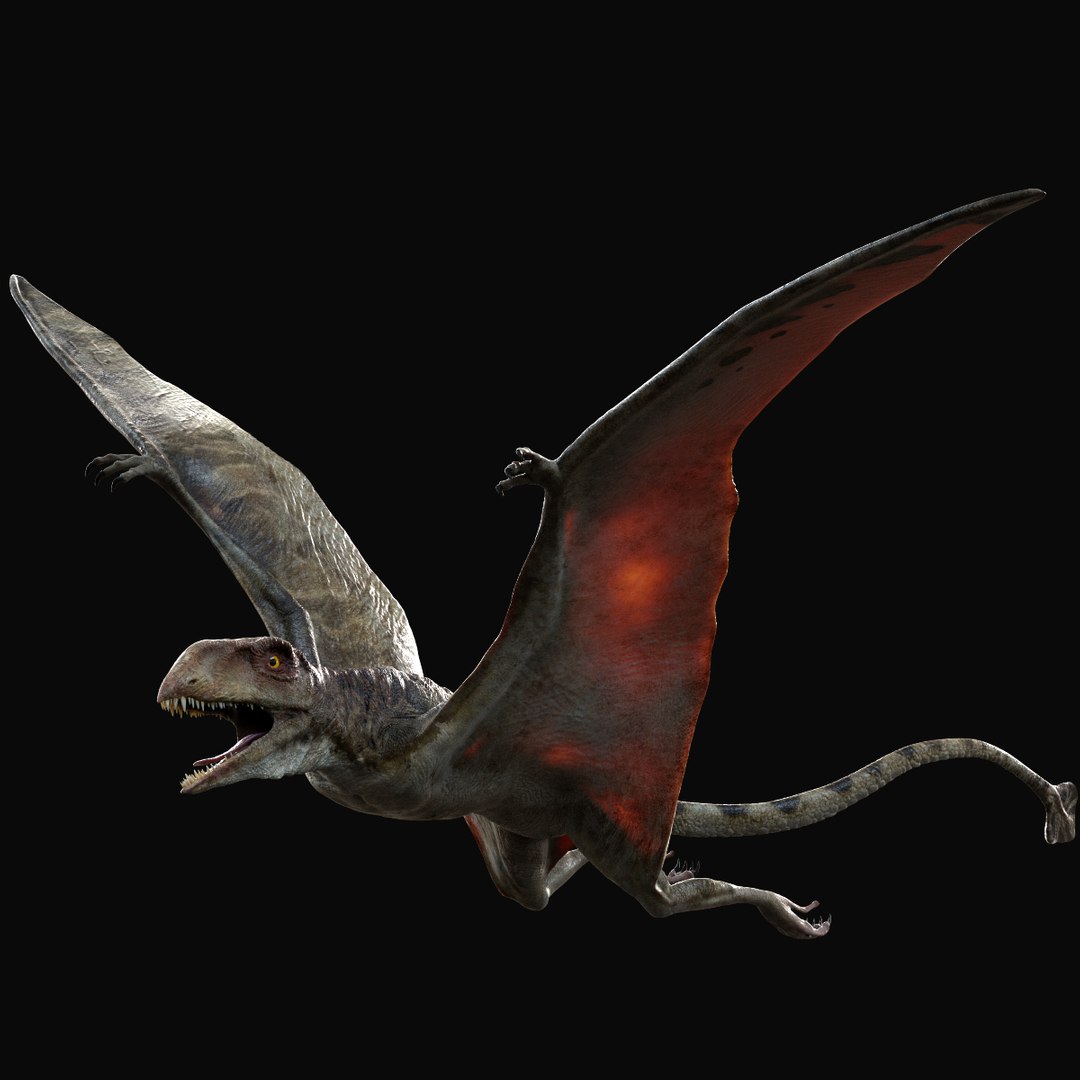 3D v-ray rigged model https://p.turbosquid.com/ts-thumb/lr/l524fQ/IrP4NgGk/02/jpg/1561343586/1920x1080/fit_q87/e6d6a39e42e001674d96371752ab4258c408d0db/02.jpg