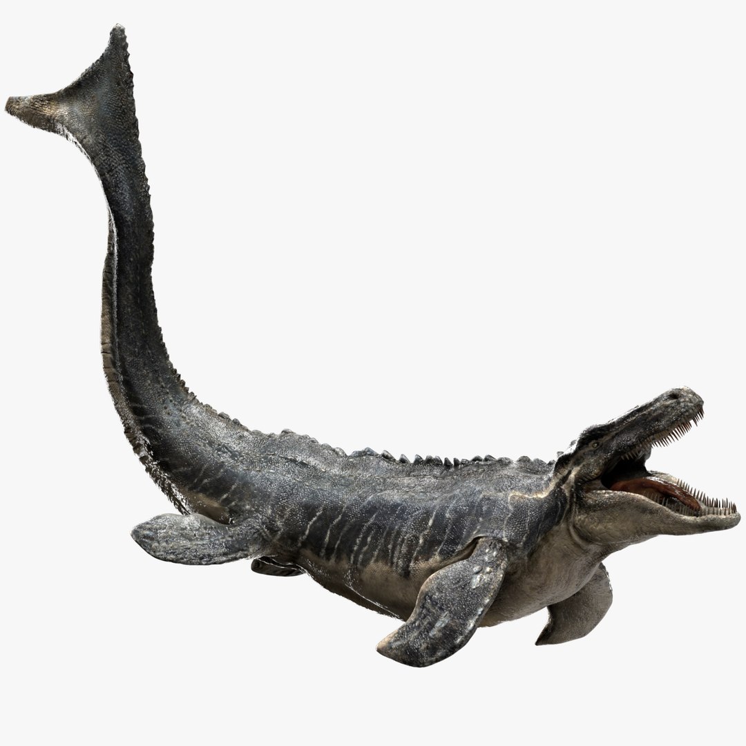 3D v-ray rigged model https://p.turbosquid.com/ts-thumb/lr/l524fQ/JpouteDy/01/jpg/1561343508/1920x1080/fit_q87/f42b262a445176860896af15f3975726415d02c3/01.jpg