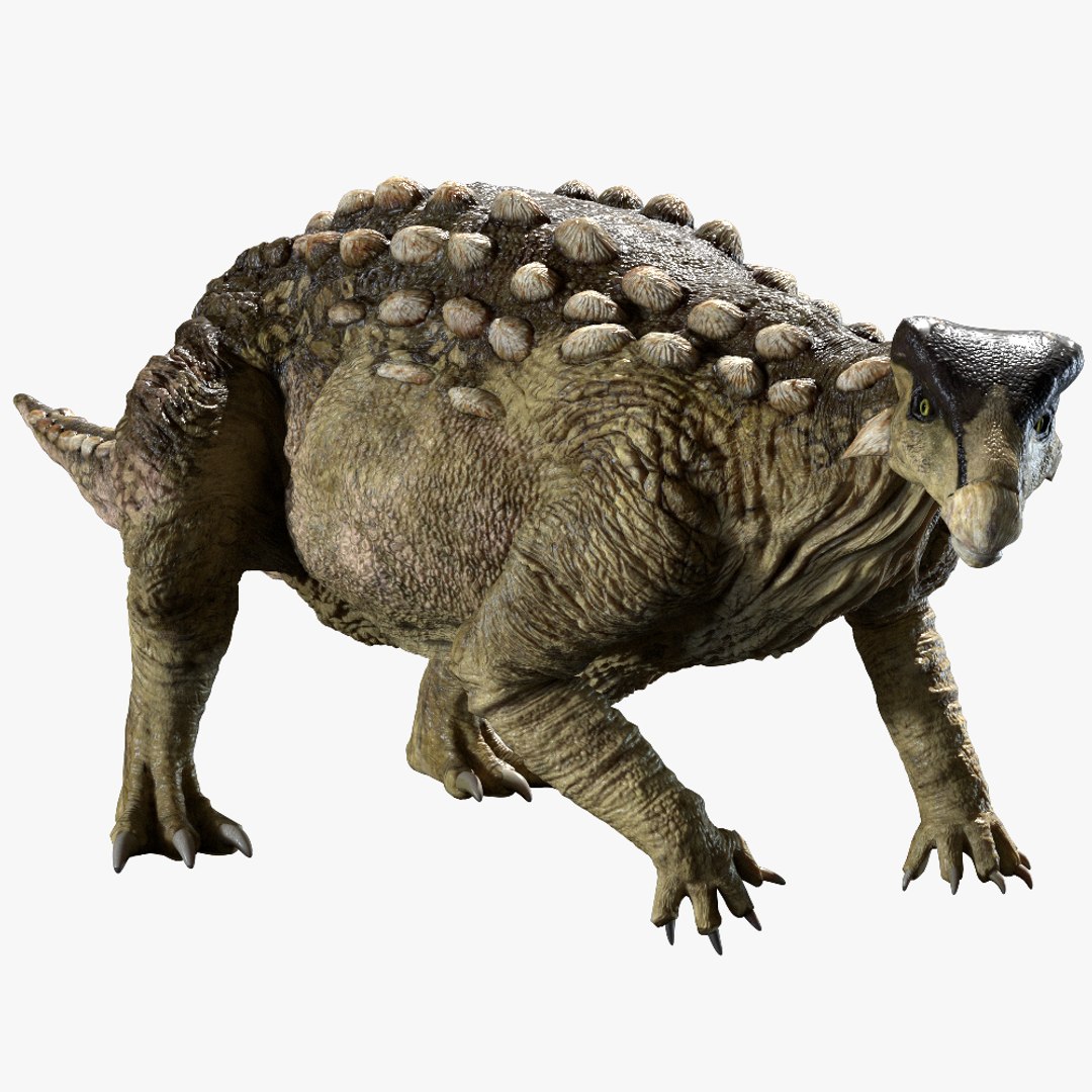 3D v-ray rigged model https://p.turbosquid.com/ts-thumb/lr/l524fQ/MOuzhT5K/00/jpg/1561343459/1920x1080/fit_q87/9314d0c7b087088b268aa1405f2ae6bec0e6d4cf/00.jpg