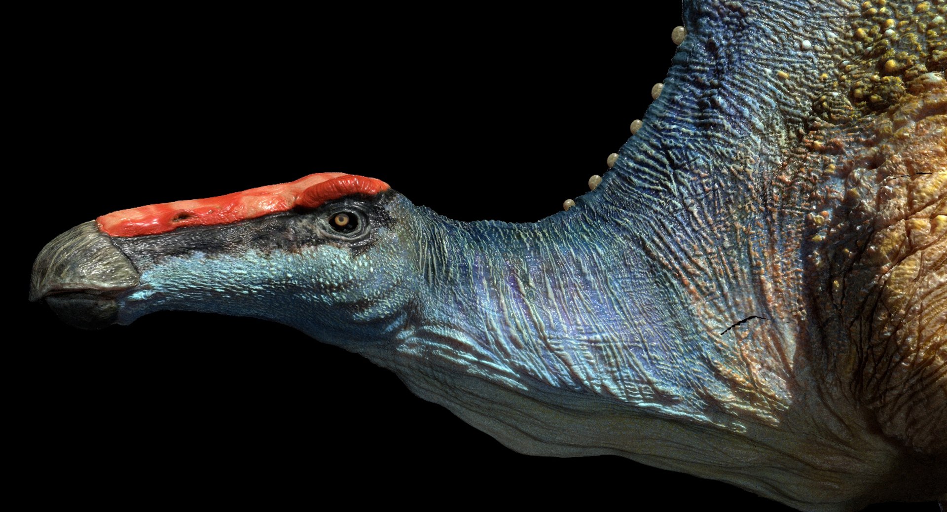 3D v-ray rigged model https://p.turbosquid.com/ts-thumb/lr/l524fQ/PpqW8TSq/03/jpg/1561343534/1920x1080/fit_q87/104c065546e0c3ba5f073266ae97a0c907508502/03.jpg