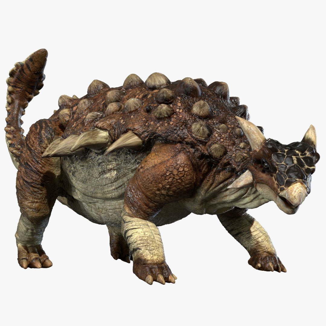 3D v-ray rigged model https://p.turbosquid.com/ts-thumb/lr/l524fQ/R2JIxV7v/00/jpg/1561343830/1920x1080/fit_q87/fe71e9e5e0a345597f8ecff2d12e686a23501c6a/00.jpg