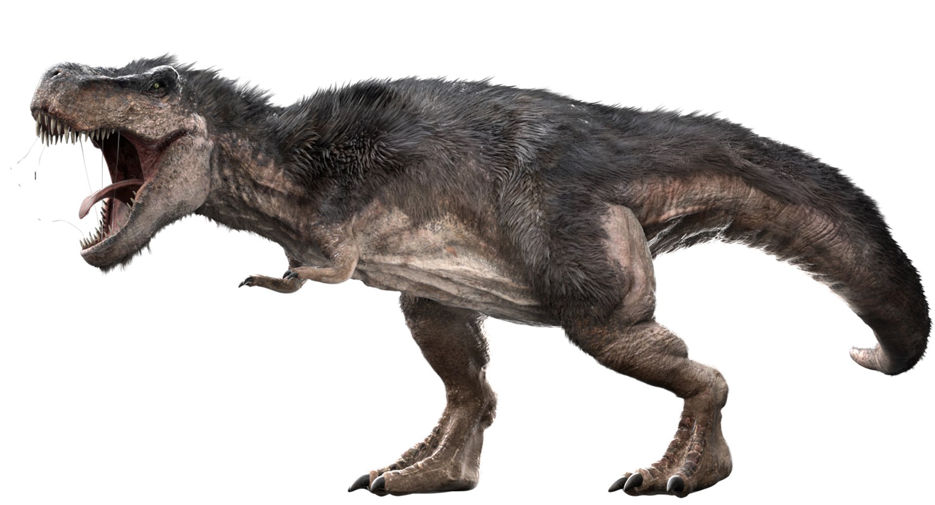 3D v-ray rigged model https://p.turbosquid.com/ts-thumb/lr/l524fQ/RddfkVHF/16/jpg/1561343805/1920x1080/fit_q87/34e7e4d05904aa48c77bdc19c5bebecf9f3d47e5/16.jpg