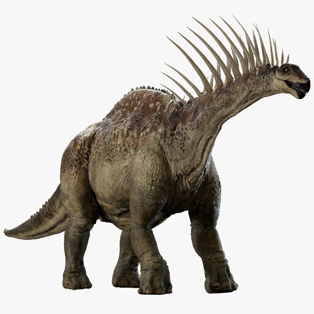 3D v-ray rigged model https://p.turbosquid.com/ts-thumb/lr/l524fQ/TXqz1Qau/00/jpg/1561181761/1920x1080/fit_q87/f0f031b04a2c78b35329d7c5226ca31334db298f/00.jpg