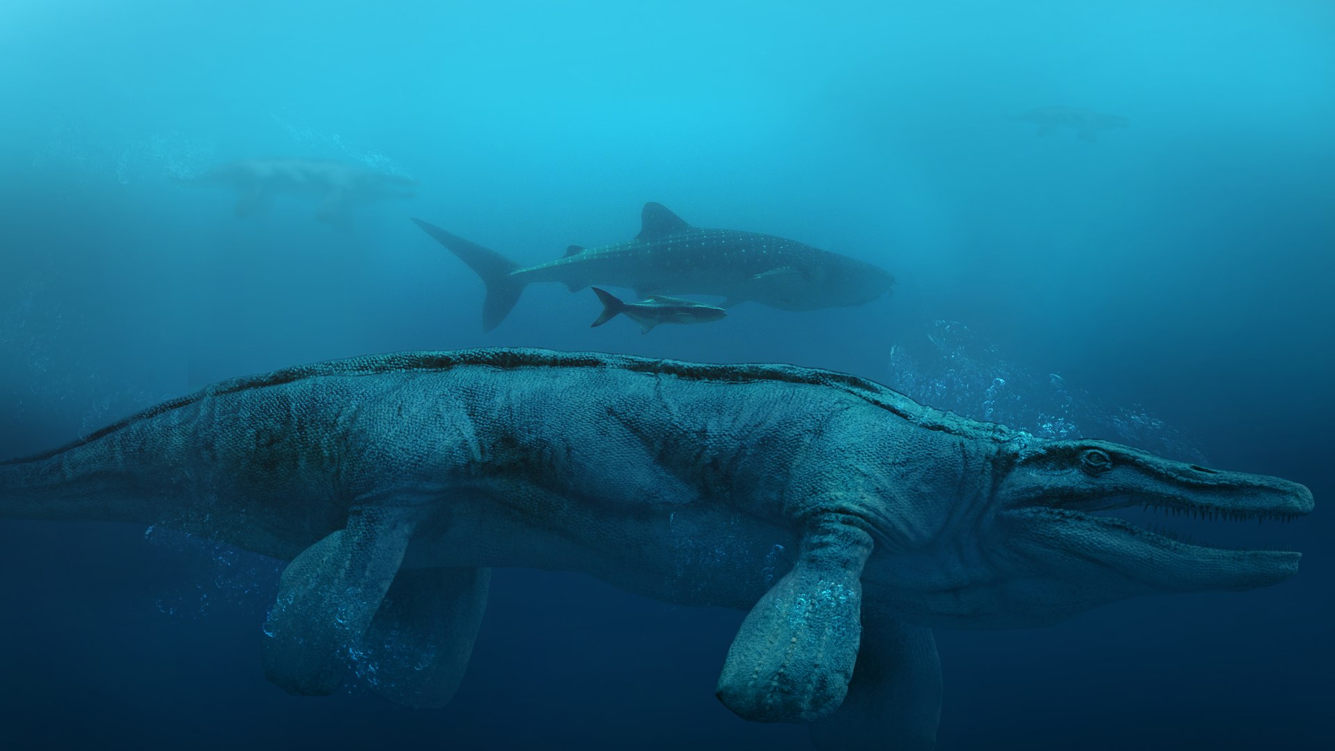 3D v-ray rigged model https://p.turbosquid.com/ts-thumb/lr/l524fQ/TwBiKb1W/17/jpg/1569221955/1920x1080/fit_q87/8d7e6f27d2ce1e2bd66040f90d1b5ab91d9e3d0a/17.jpg