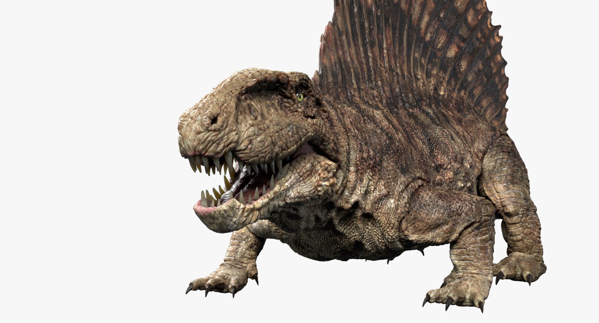 3D v-ray rigged model https://p.turbosquid.com/ts-thumb/lr/l524fQ/W6whjCbj/09/jpg/1561343412/1920x1080/fit_q87/256176949457d11fa6b6a373fca0baef84c8ed3a/09.jpg