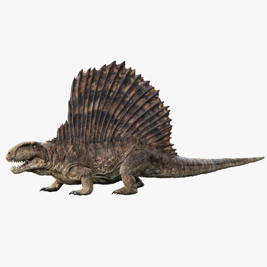 3D v-ray rigged model https://p.turbosquid.com/ts-thumb/lr/l524fQ/XdflNVAg/01/jpg/1561343412/1920x1080/fit_q87/17a5789086aedd9d98be609742f42aa94eca0c94/01.jpg