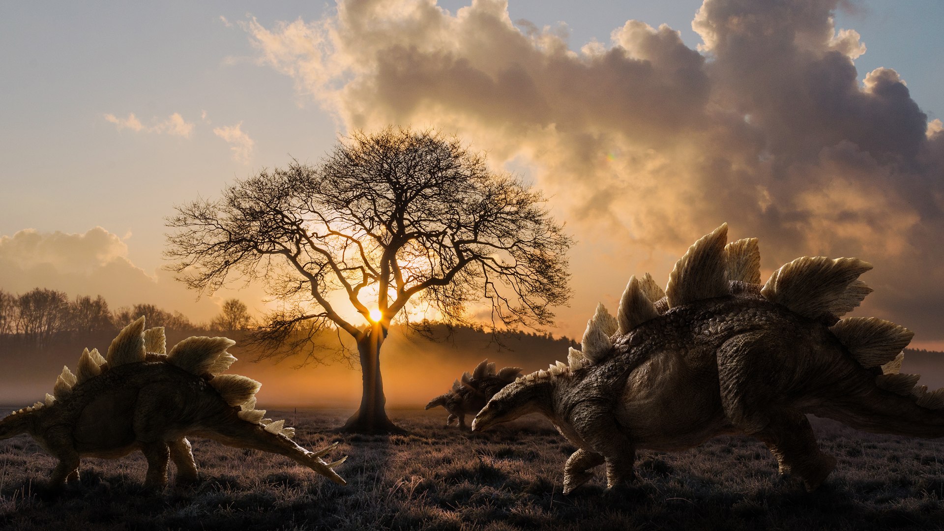 3D v-ray rigged model https://p.turbosquid.com/ts-thumb/lr/l524fQ/Xz6fZnDP/08/jpg/1569221955/1920x1080/fit_q87/bcc95576f9d7894805974c00b1b23029cce3d8c6/08.jpg