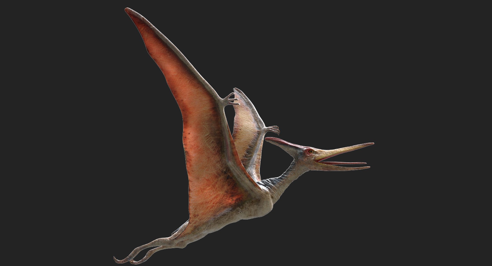 3D v-ray rigged model https://p.turbosquid.com/ts-thumb/lr/l524fQ/YU7ZzL1k/03/jpg/1561343663/1920x1080/fit_q87/7bde08925db9eb46d8fd27452303859e669d415a/03.jpg