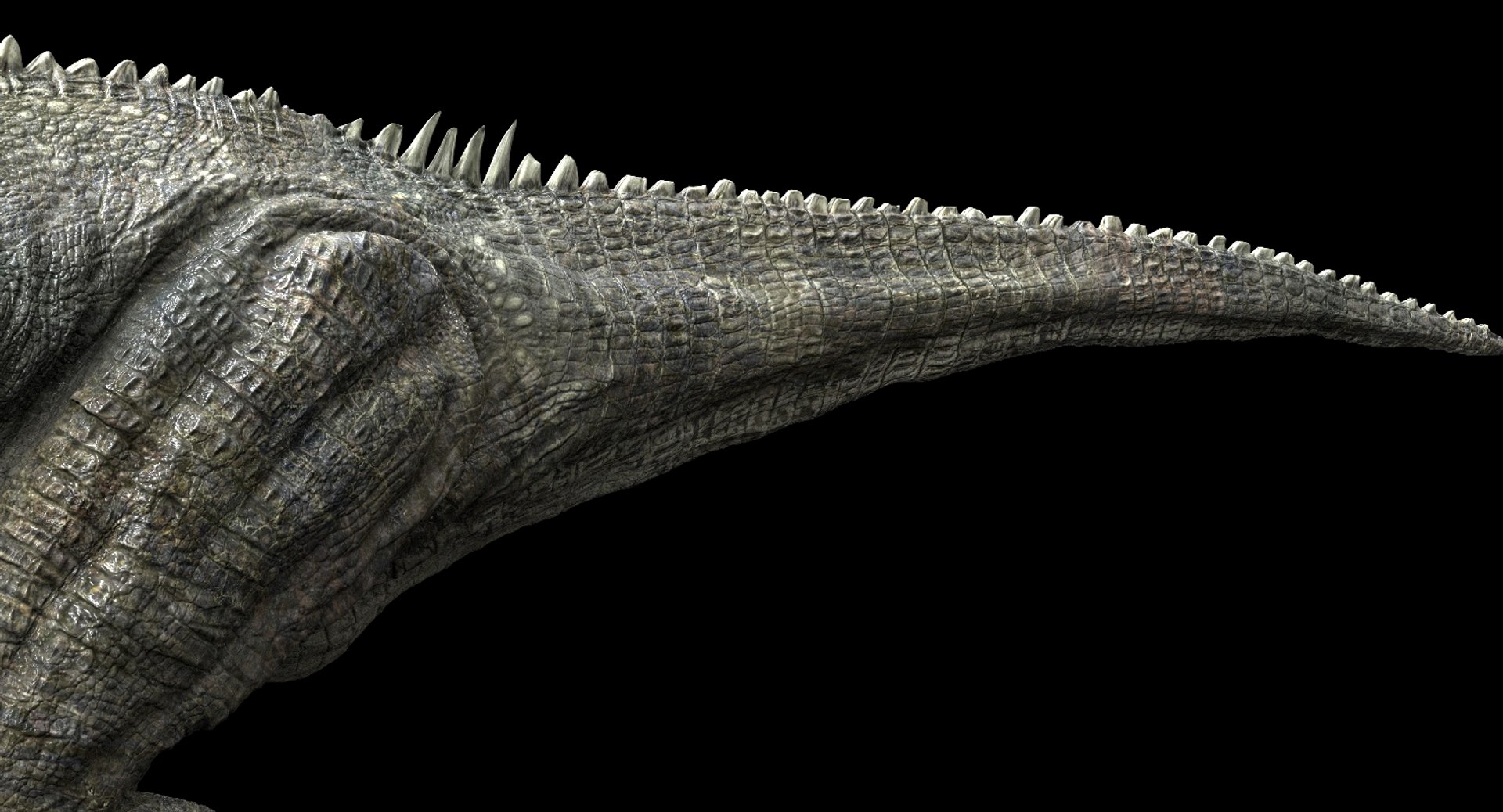 3D v-ray rigged model https://p.turbosquid.com/ts-thumb/lr/l524fQ/aRRaEuAE/12/jpg/1561181736/1920x1080/fit_q87/64c44e9b2098579c3bd71ea063d66ee894b4adf0/12.jpg