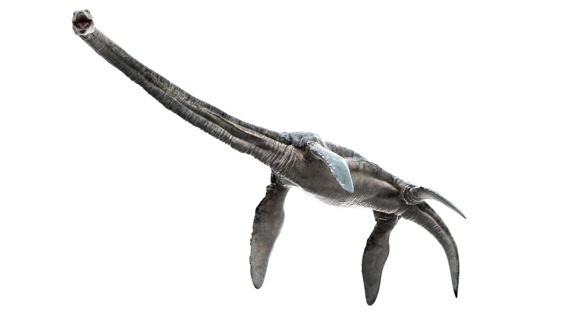 3D v-ray rigged model https://p.turbosquid.com/ts-thumb/lr/l524fQ/bs9TJZhq/11/jpg/1561343436/1920x1080/fit_q87/c4e428dd3dadfc05ceefcfbc10db343c5b21e409/11.jpg