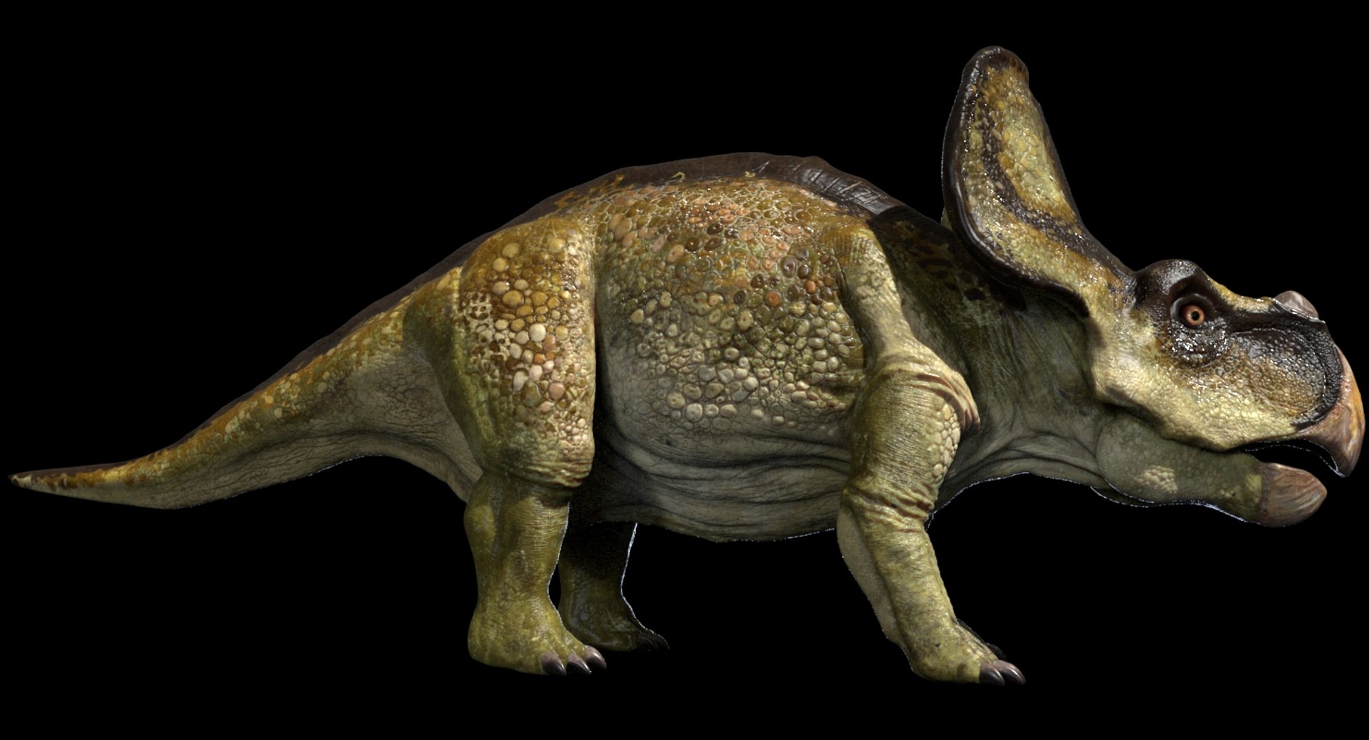3D v-ray rigged model https://p.turbosquid.com/ts-thumb/lr/l524fQ/dAZ3XZer/04/jpg/1561343638/1920x1080/fit_q87/8f648a446cc4683abd3e56288bff108ffa10b4a9/04.jpg