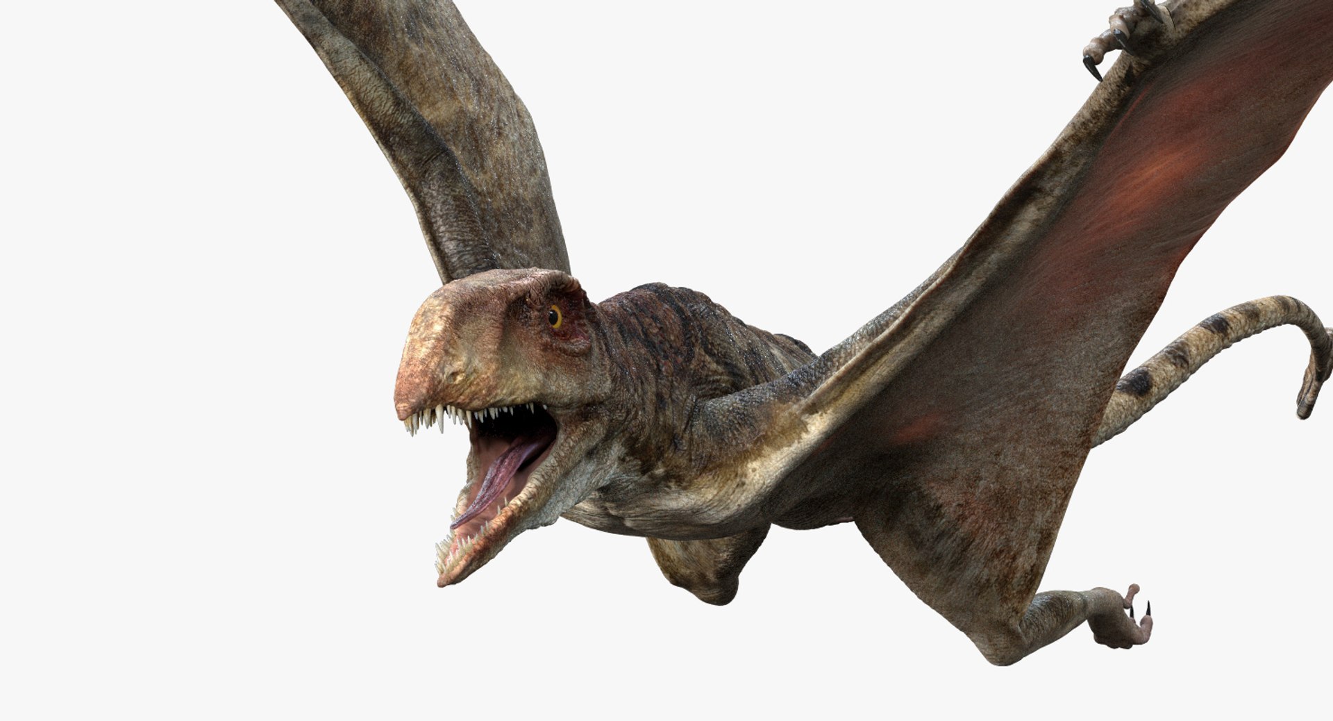 3D v-ray rigged model https://p.turbosquid.com/ts-thumb/lr/l524fQ/duWkPrX4/10/jpg/1561343586/1920x1080/fit_q87/6a7c9dffb8c3e62c69f60c886887646a2308890c/10.jpg