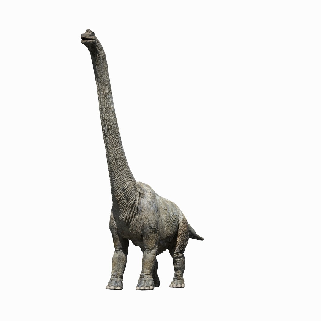 3D v-ray rigged model https://p.turbosquid.com/ts-thumb/lr/l524fQ/e3L5WiQQ/04/jpg/1561343282/1920x1080/fit_q87/f83a17cccdb77f10d37c0a70989ca4325997e866/04.jpg