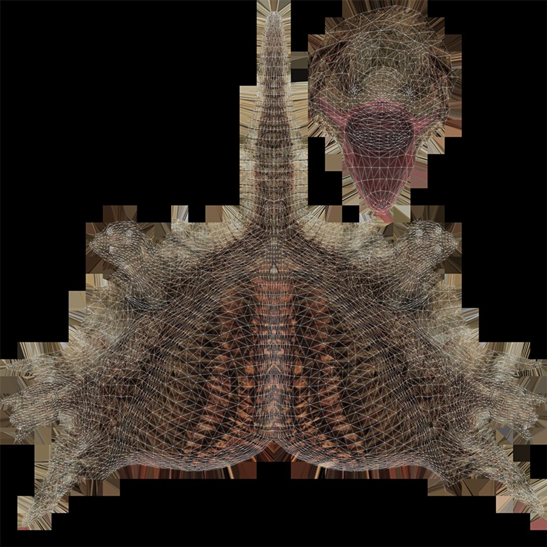 3D v-ray rigged model https://p.turbosquid.com/ts-thumb/lr/l524fQ/gxcEOeX6/27/jpg/1561343412/1920x1080/fit_q87/8c45fdf33f651211663da1470189b9a1726b77e0/27.jpg