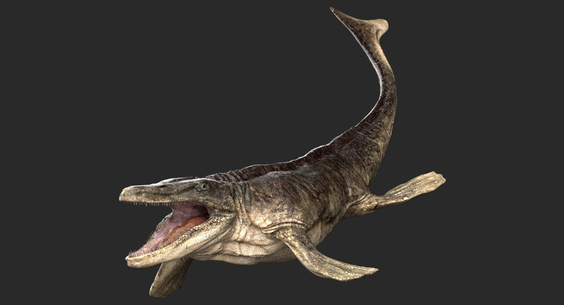 3D v-ray rigged model https://p.turbosquid.com/ts-thumb/lr/l524fQ/hm729zwk/02/jpg/1561343910/1920x1080/fit_q87/056ac9af8a2b422def864563fc9dc8efd87ca63e/02.jpg