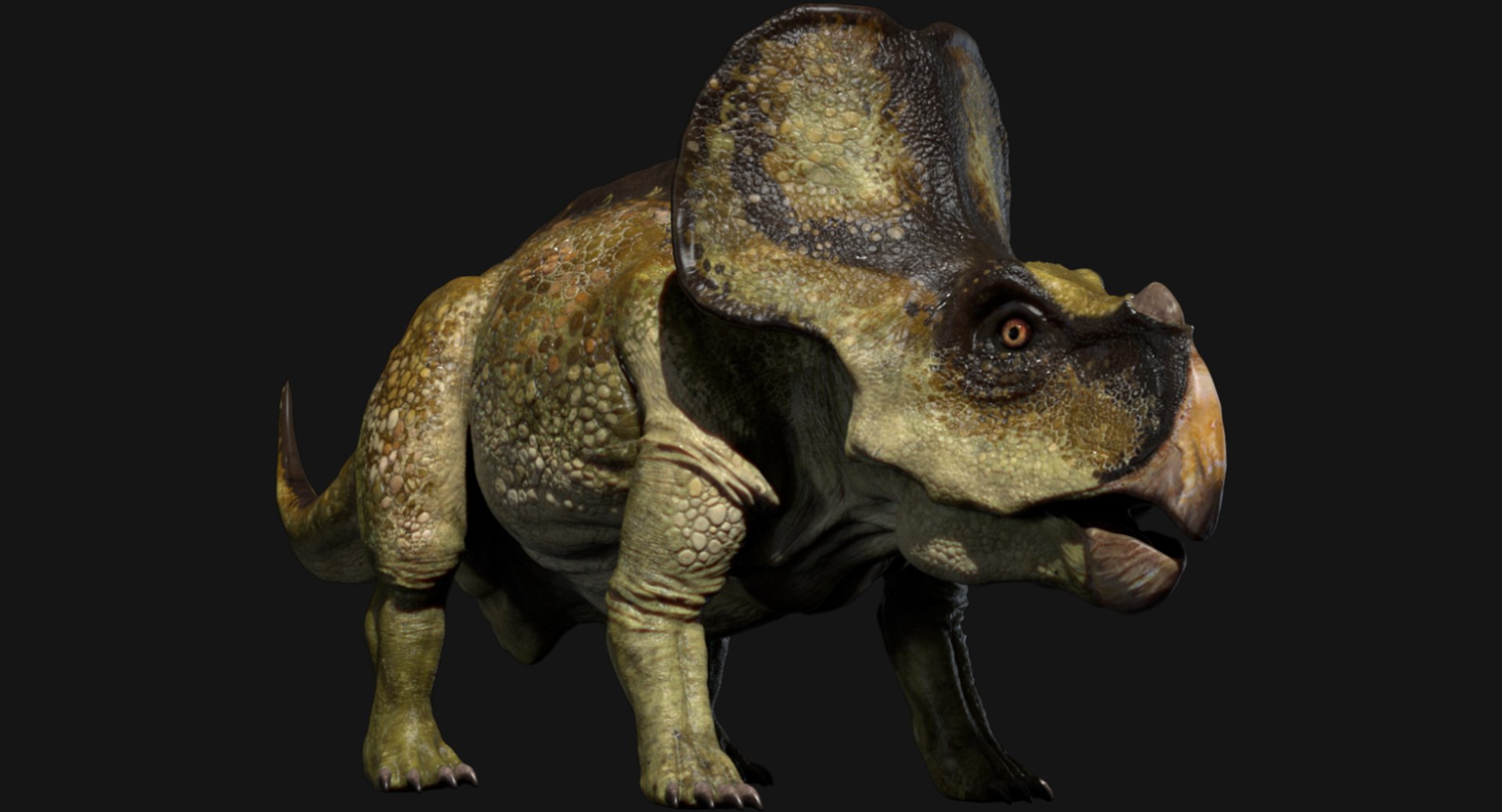 3D v-ray rigged model https://p.turbosquid.com/ts-thumb/lr/l524fQ/iNSB11gk/01/jpg/1561343638/1920x1080/fit_q87/78316f6dc7a6c849b3bb658f3711ff143448d801/01.jpg