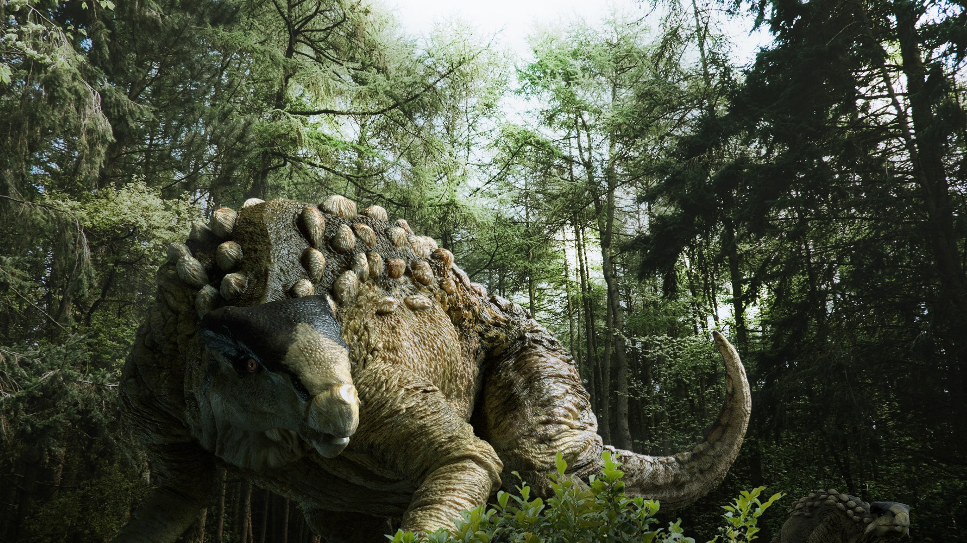 3D v-ray rigged model https://p.turbosquid.com/ts-thumb/lr/l524fQ/irkz5yMg/12/jpg/1569221955/1920x1080/fit_q87/0487ab355999dc71311c47fb1c956c1624887a45/12.jpg