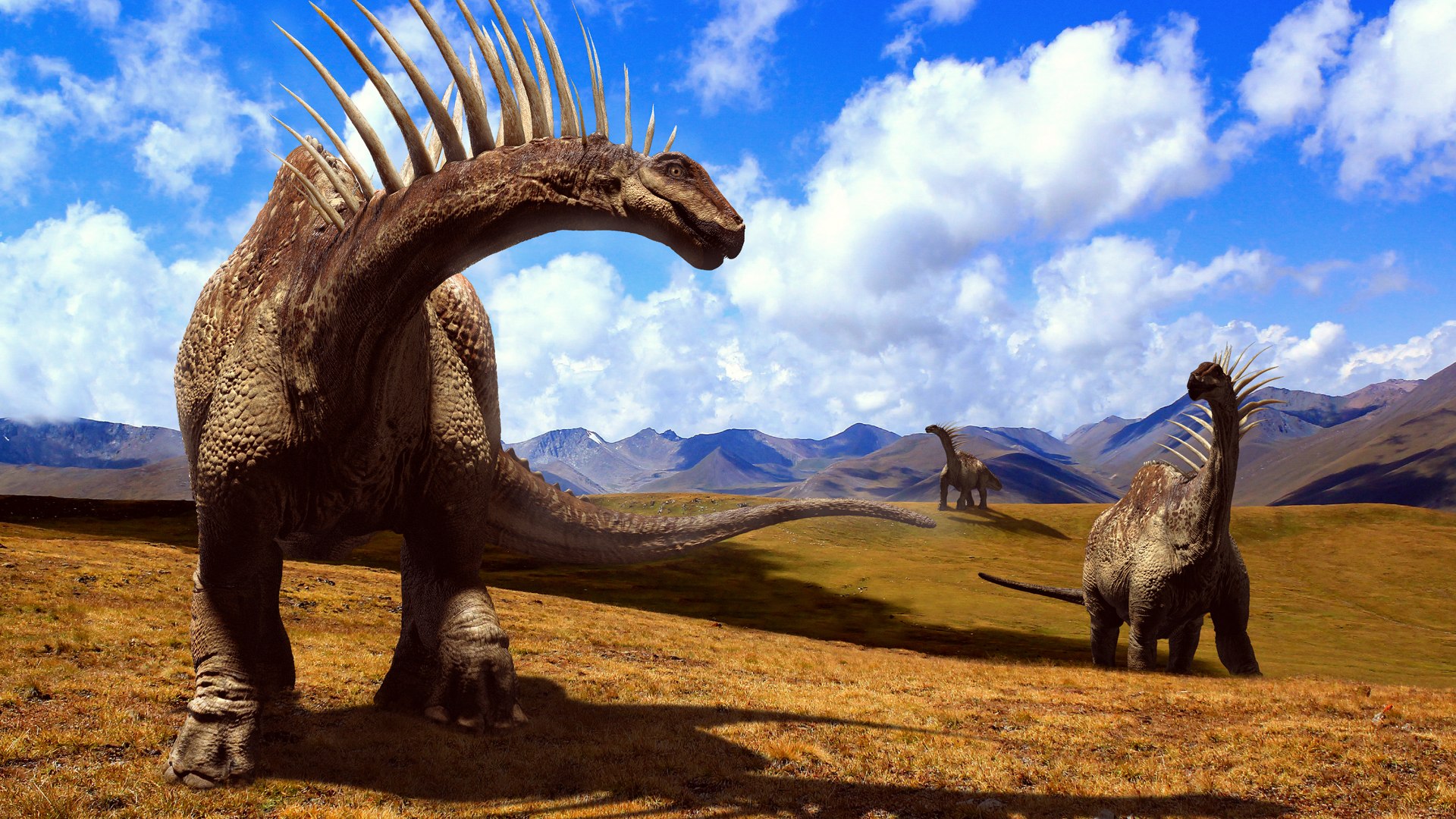 3D v-ray rigged model https://p.turbosquid.com/ts-thumb/lr/l524fQ/mYz9U1KB/11/jpg/1569221955/1920x1080/fit_q87/201267300a3c3b30327b8d9a82b758ce8741f456/11.jpg