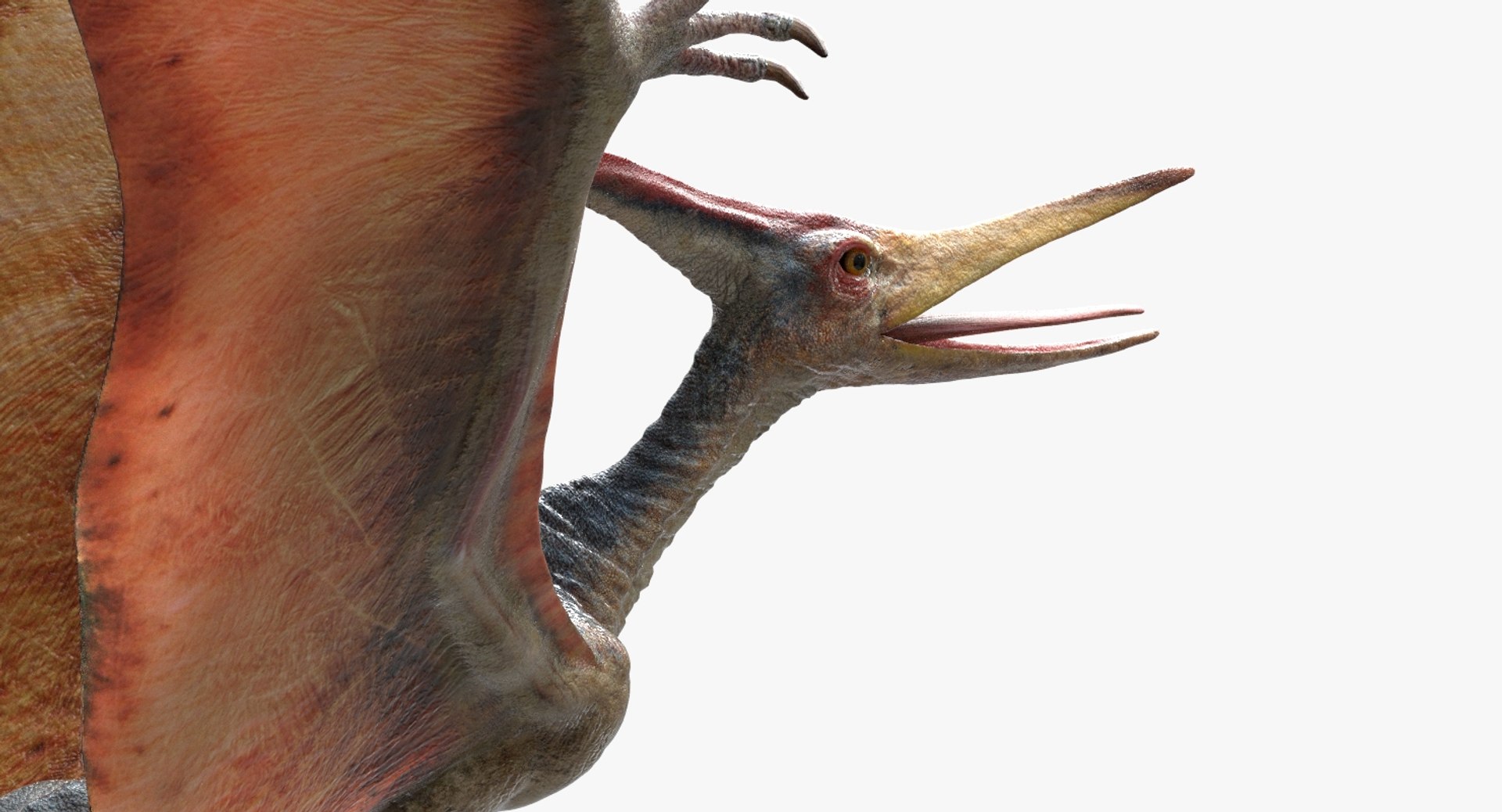 3D v-ray rigged model https://p.turbosquid.com/ts-thumb/lr/l524fQ/mlzEKYZW/04/jpg/1561343663/1920x1080/fit_q87/9657d48a3bc801ee35931ed6a79a1ce762f1c432/04.jpg