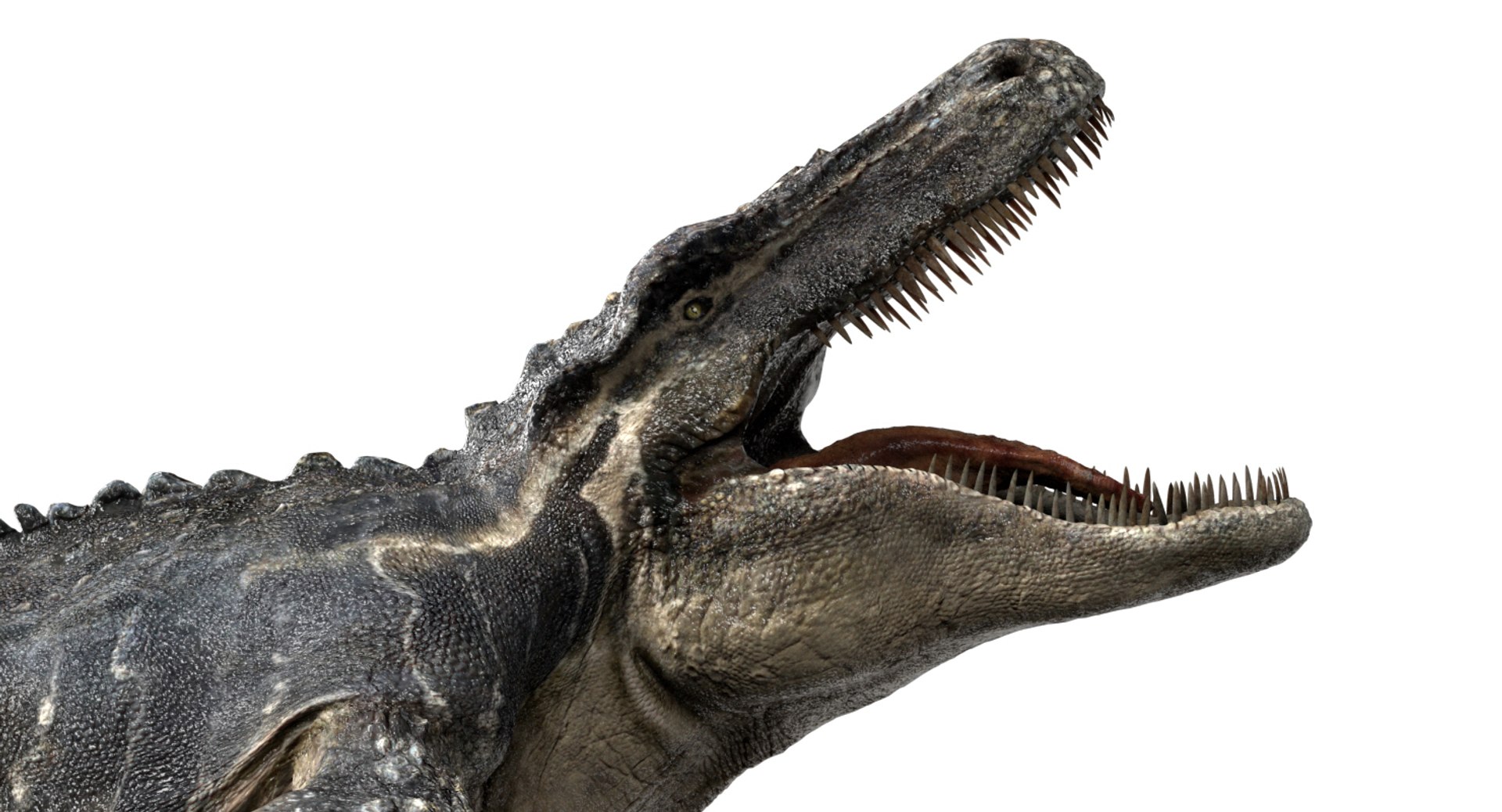 3D v-ray rigged model https://p.turbosquid.com/ts-thumb/lr/l524fQ/mxngN5zH/09/jpg/1561343508/1920x1080/fit_q87/a54c2f466a0b8f8eda41ec999fc2291f52b3f843/09.jpg