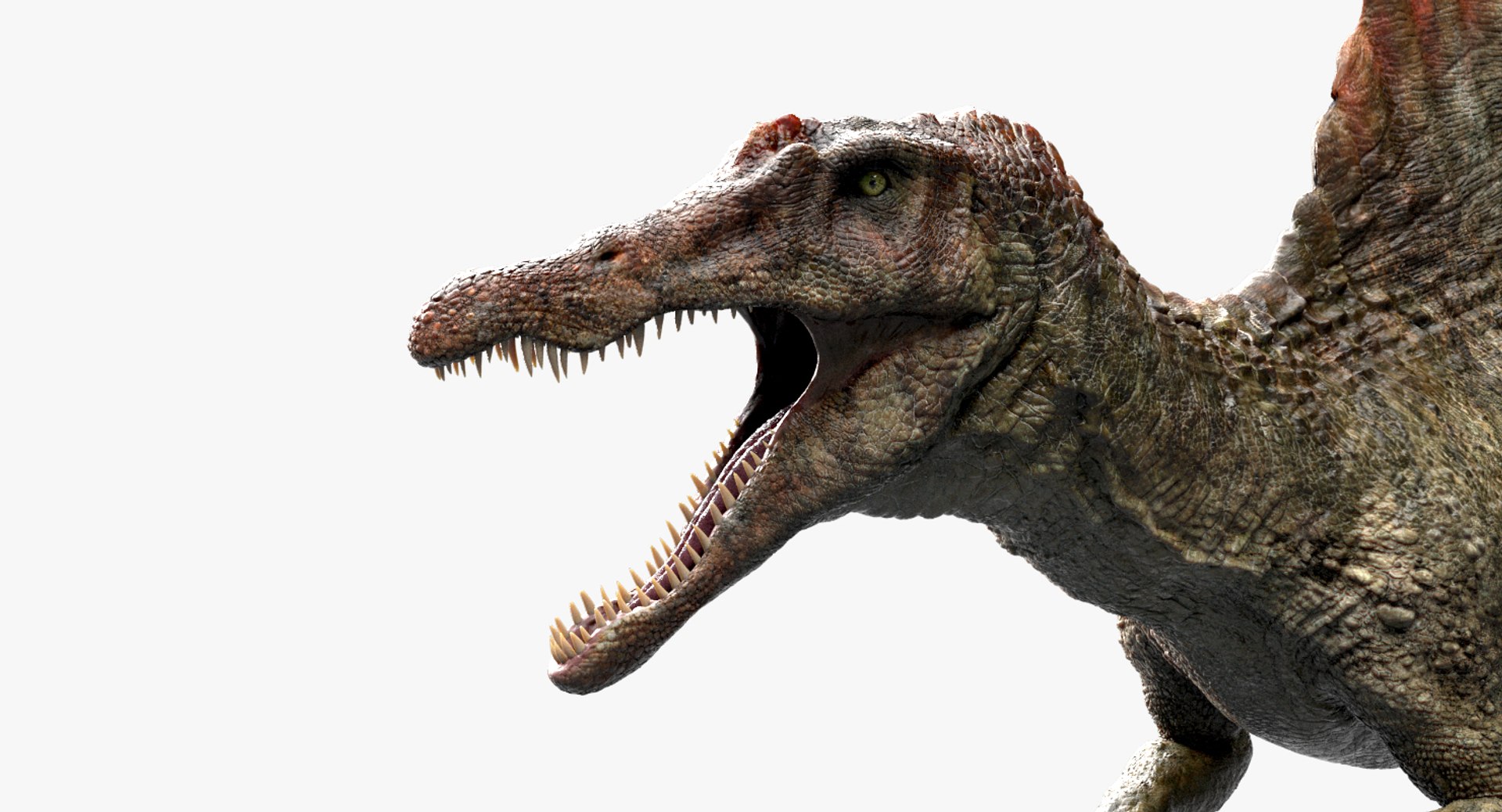 3D v-ray rigged model https://p.turbosquid.com/ts-thumb/lr/l524fQ/n0YN1Kk5/05/jpg/1561343714/1920x1080/fit_q87/30fa8ad4347c584dd10ed2b5f7da35140829c3e7/05.jpg
